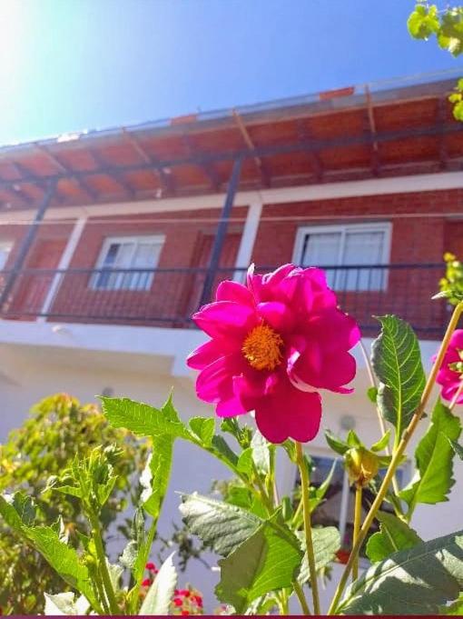 Hospedaje Las Dalias