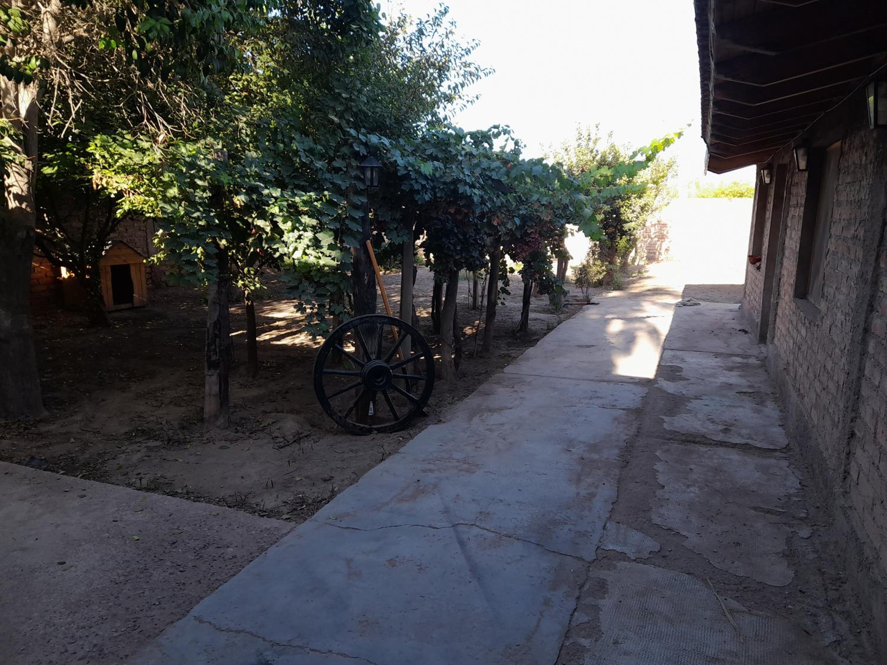 LA COLMENA