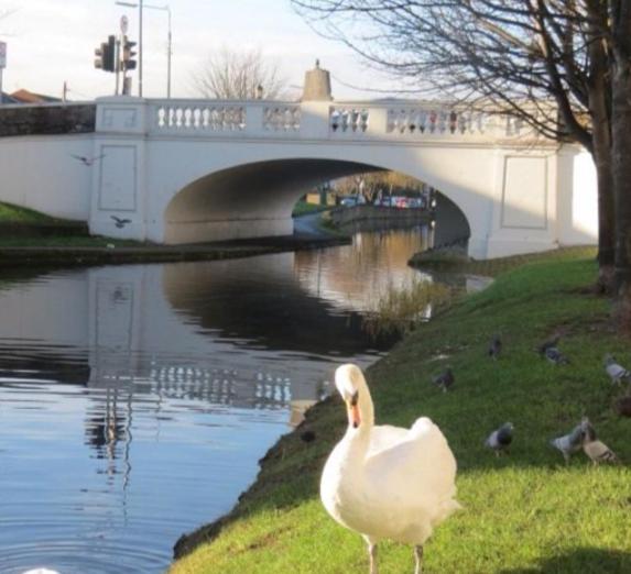 Dublin canal side