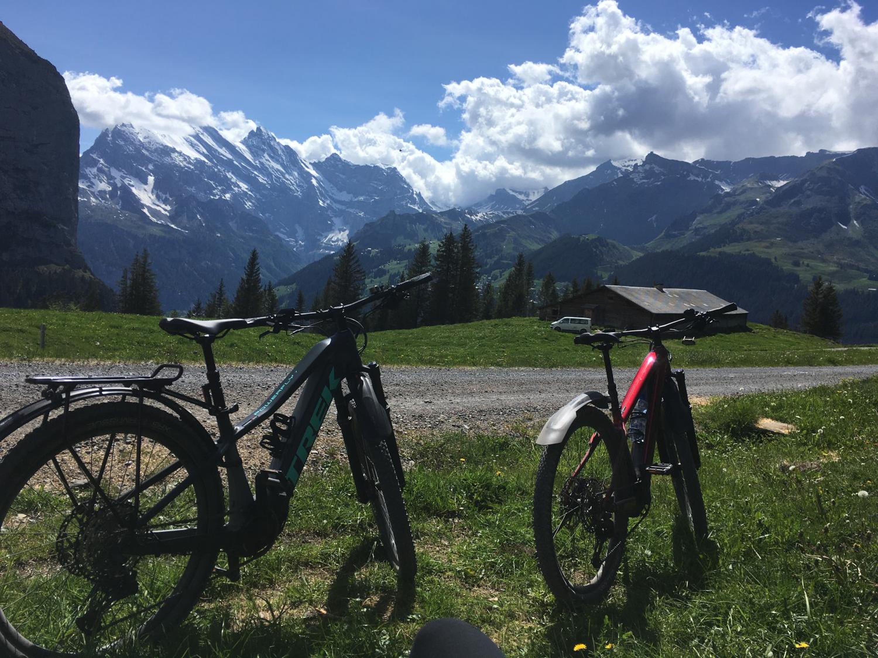 Chalet Alpina Gyger