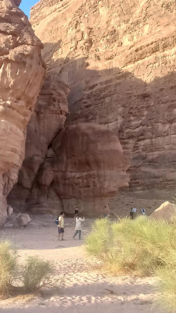 Al Raha Luxury Camp