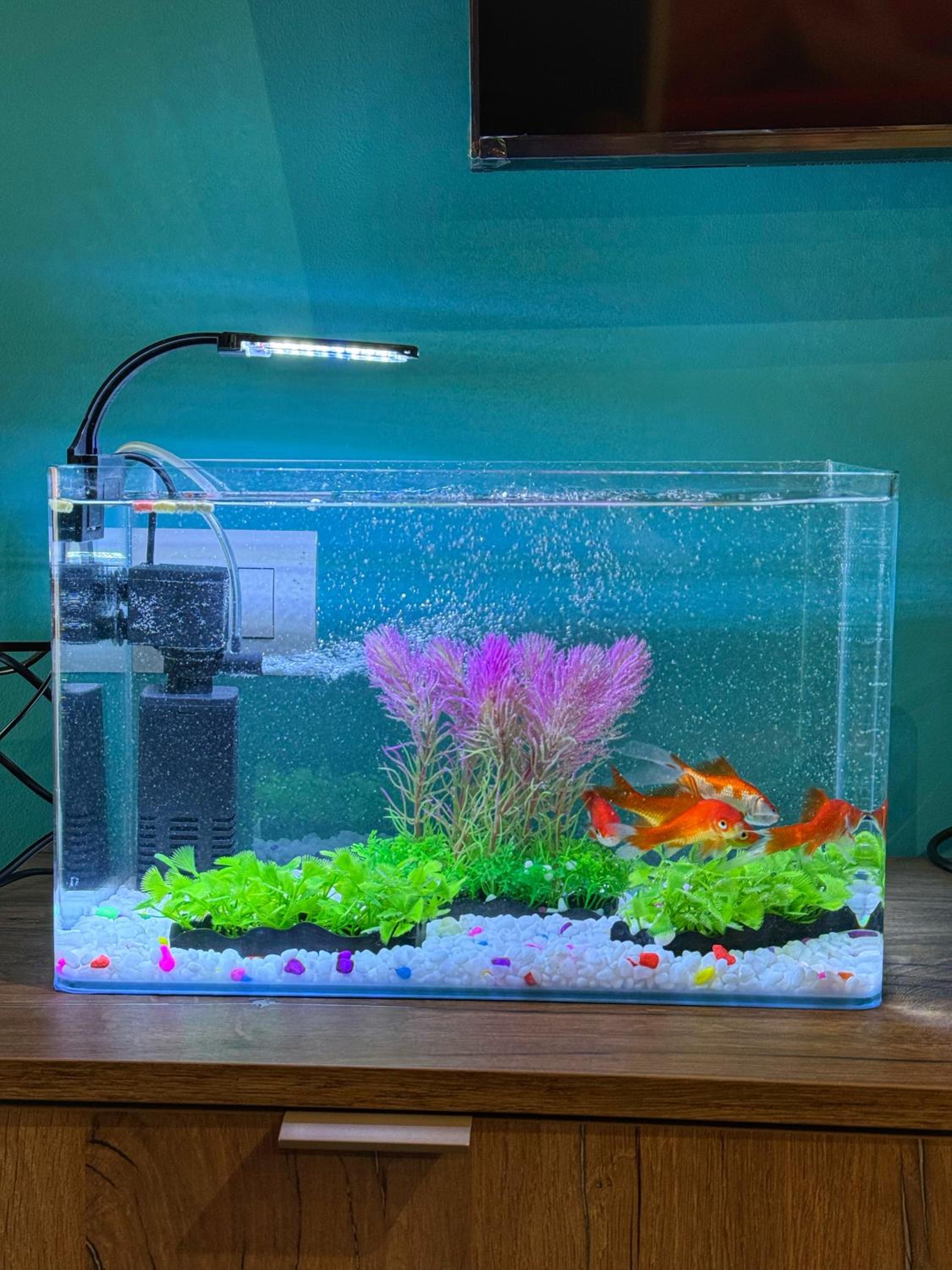 Apartment Ohana