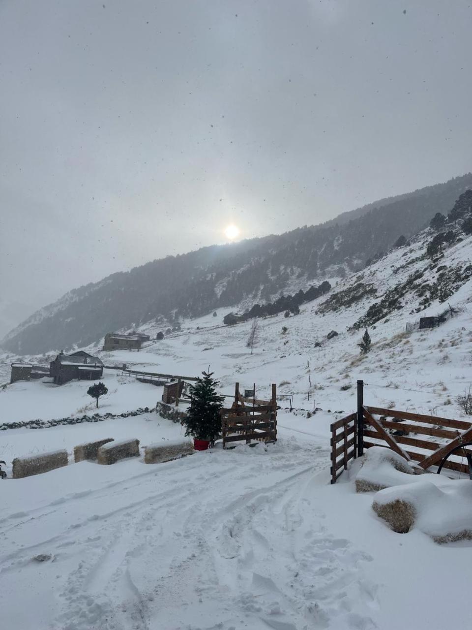 Borda Martí, Chalet de montaña en la Vall d'Incles HUT1-08422