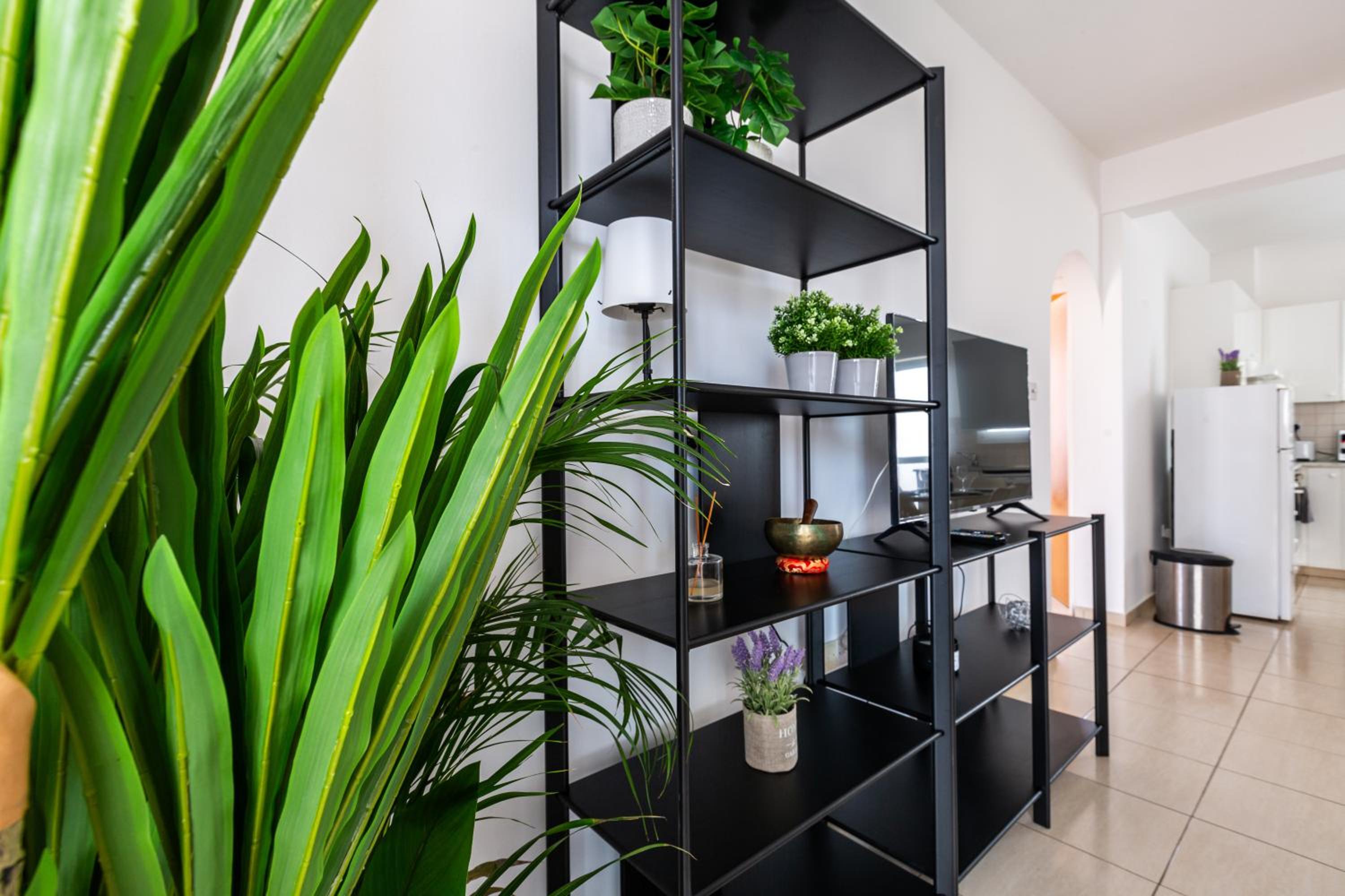 Beautiful 2 bed apartment in Paphos Cyprus