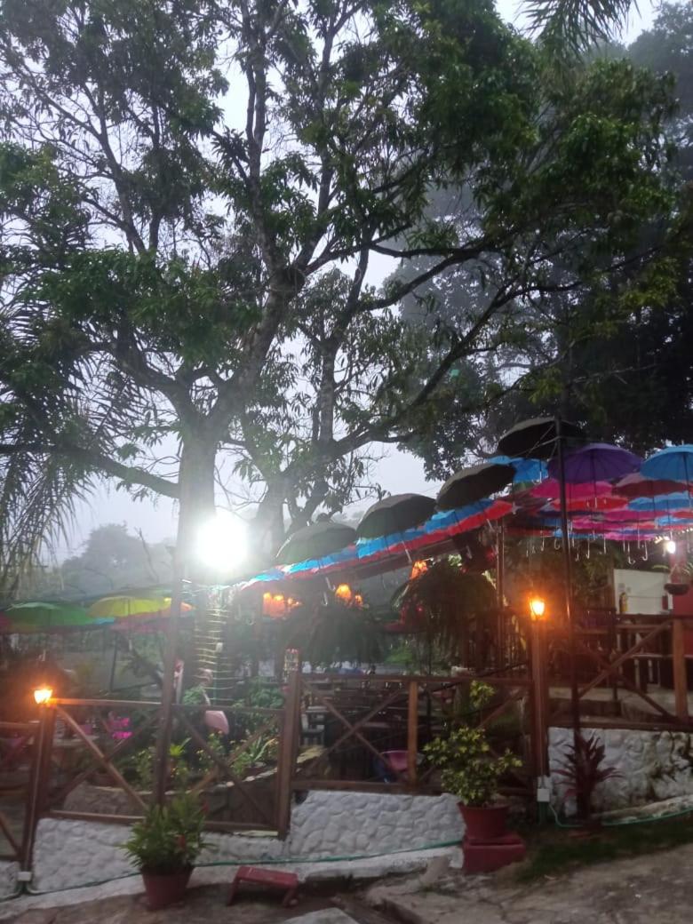 Casa Hotel Arcadia Minca