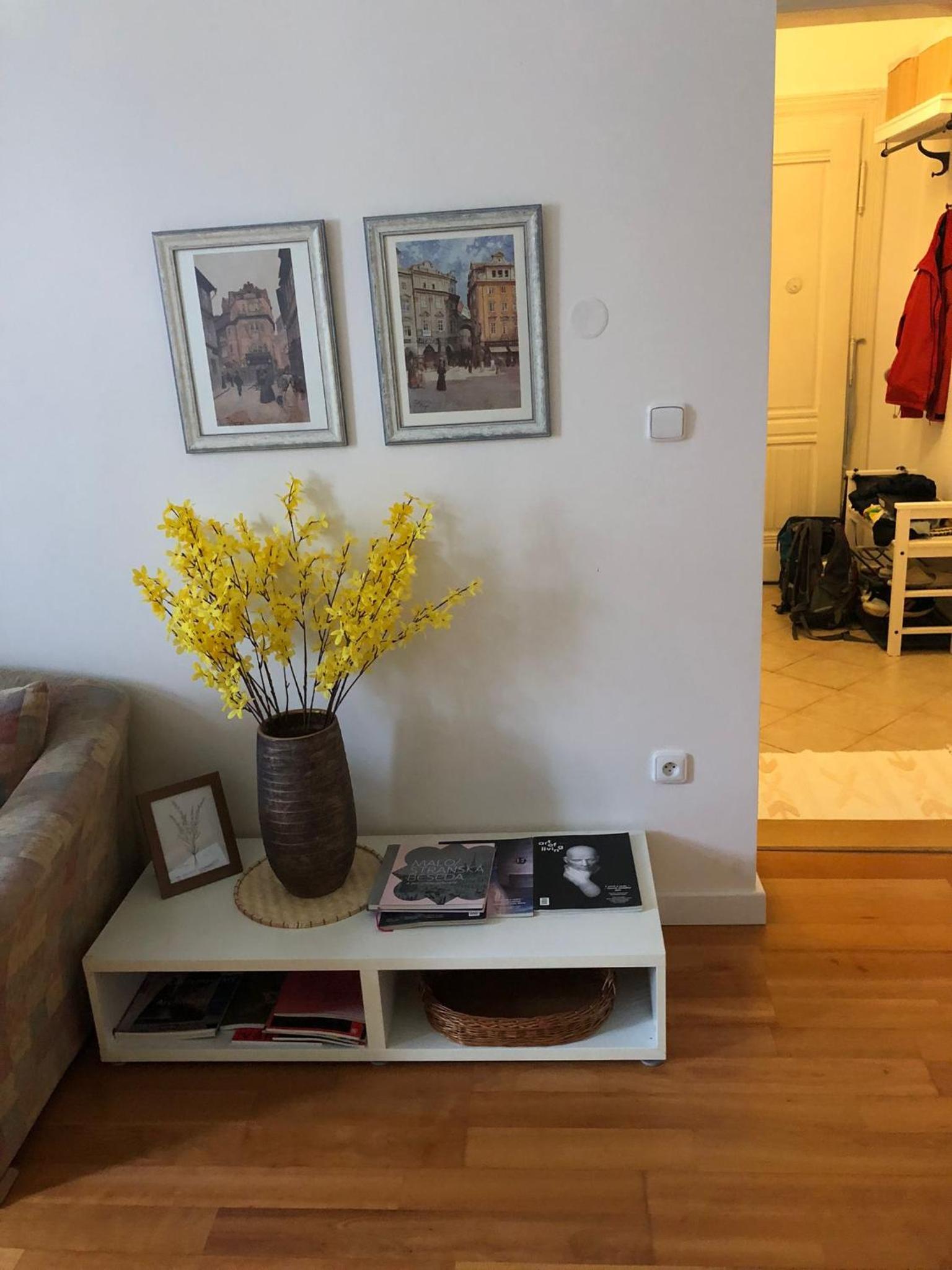 Prague Apartment JanLouis