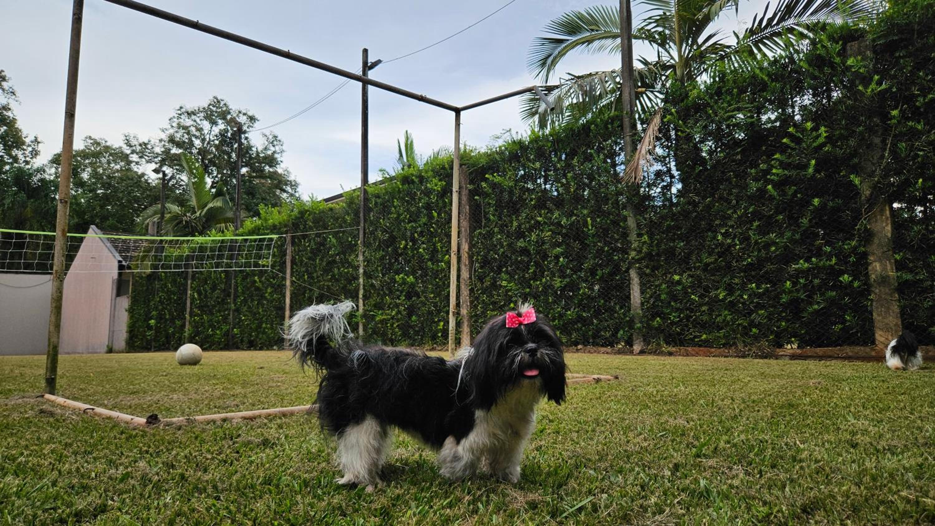 La Floresta Cabañas