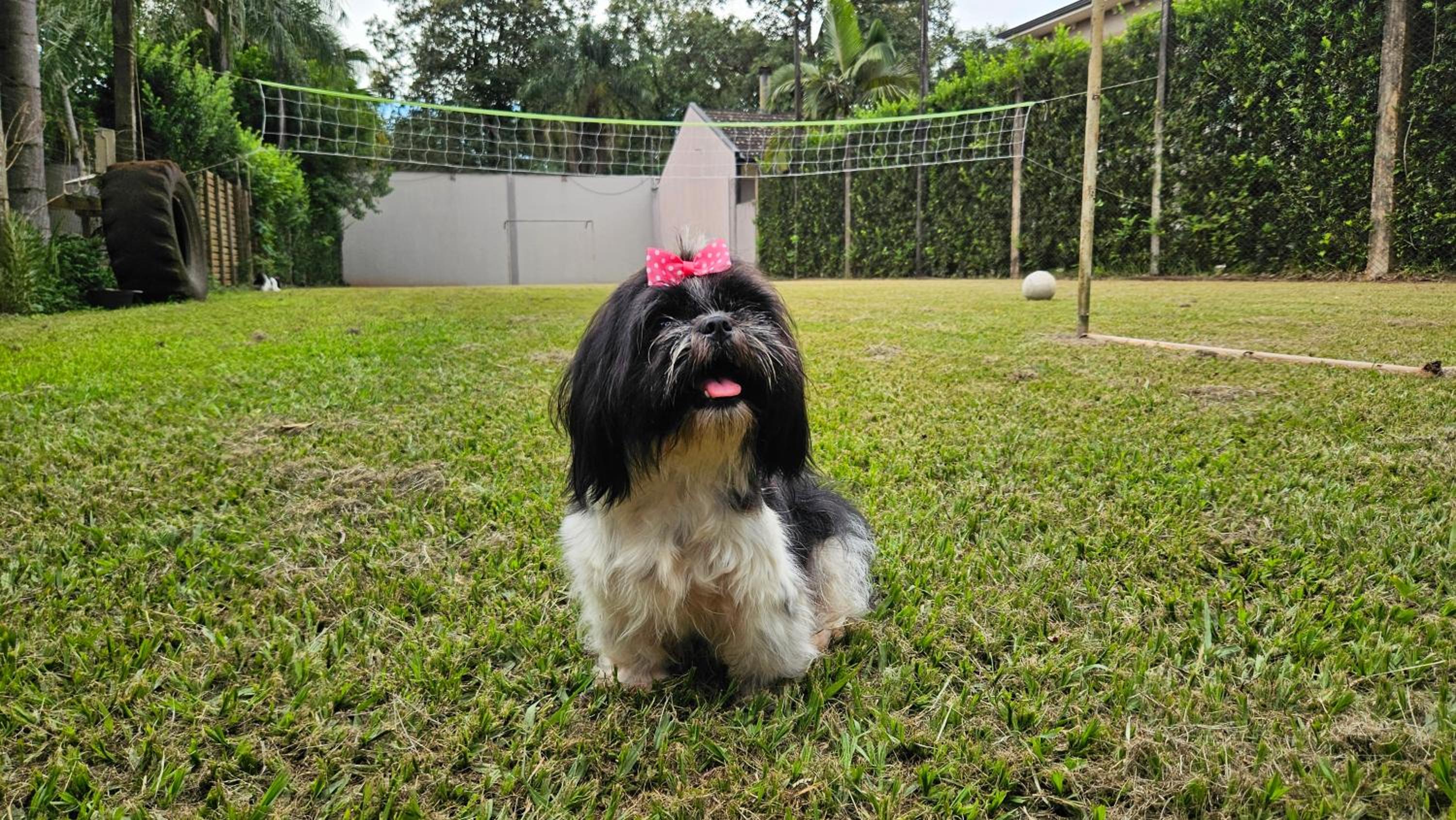 La Floresta Cabañas