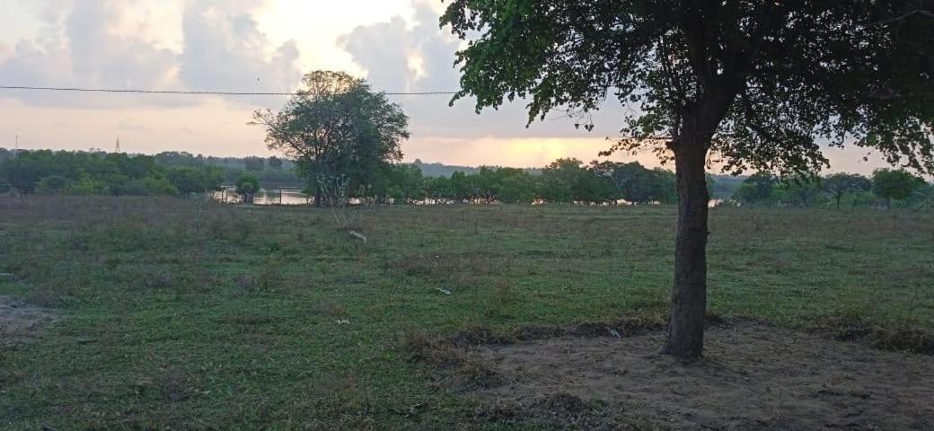 Nilaveli Irakkandy Lagoon Tent Campground