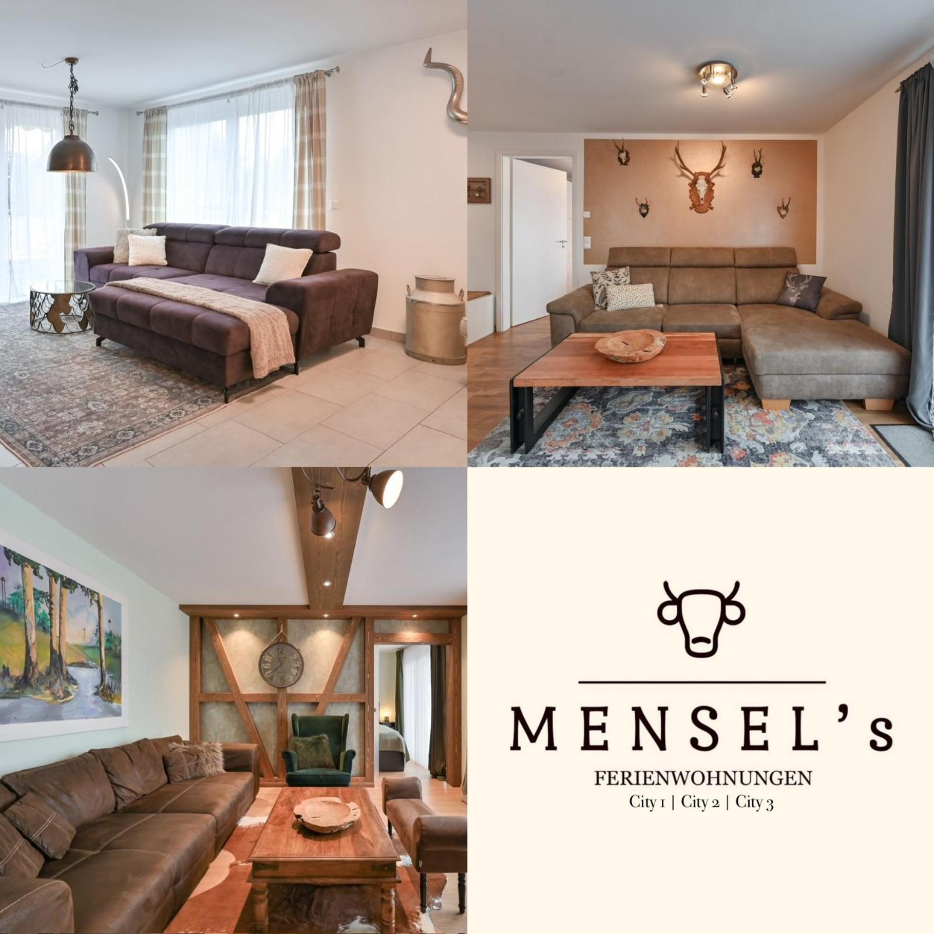 Mensel City 2