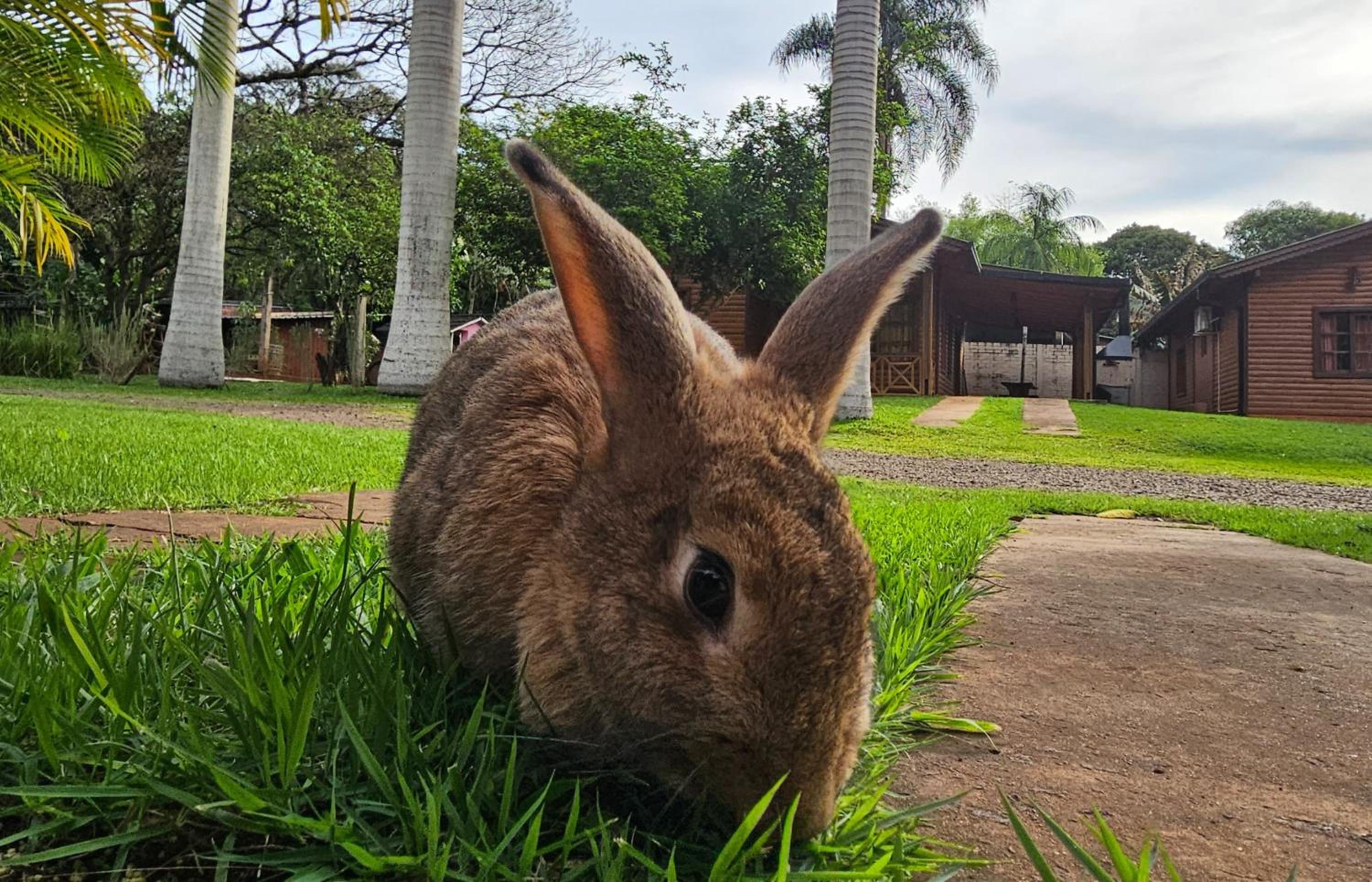 La Floresta Cabañas