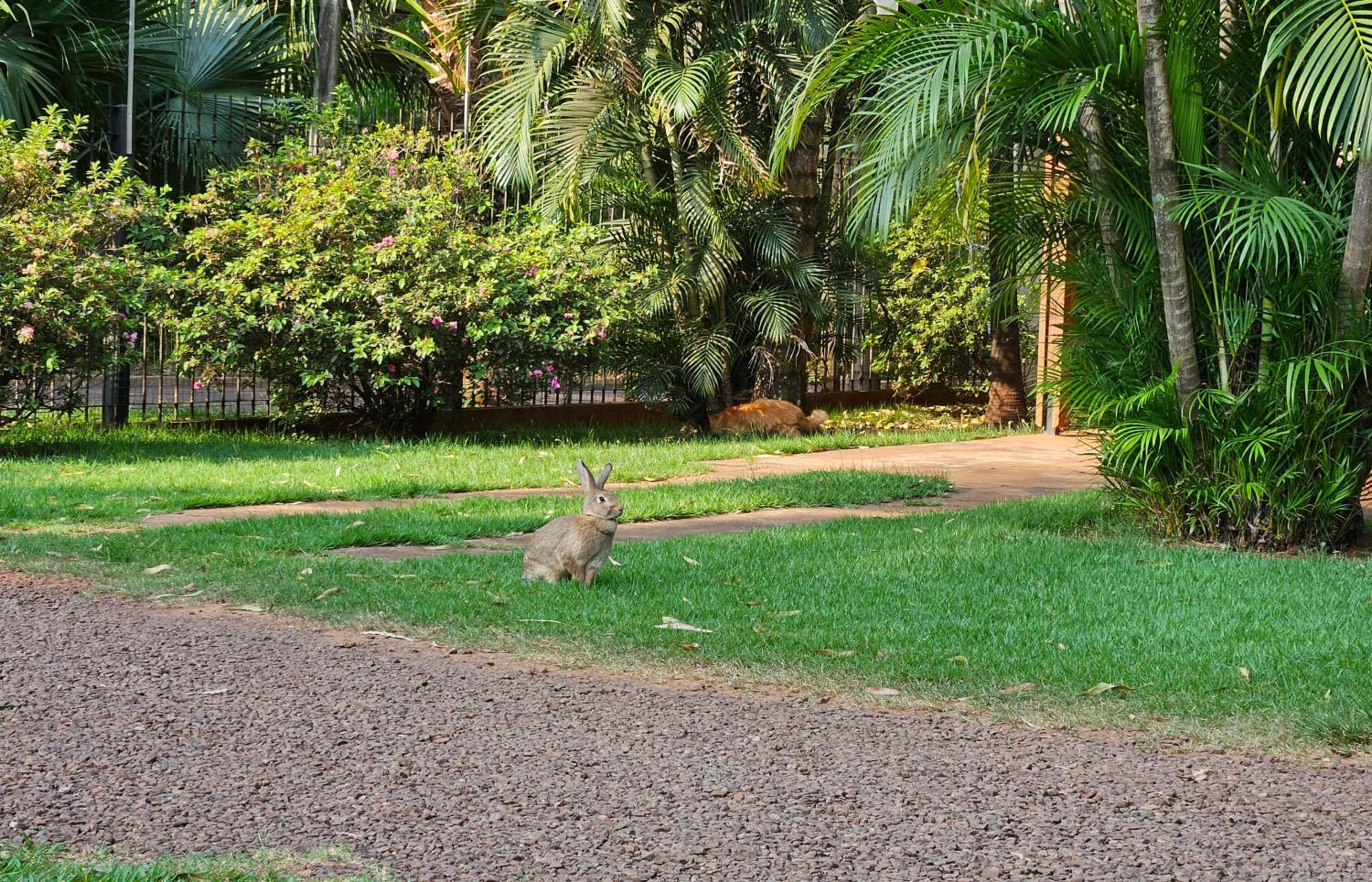 La Floresta Cabañas