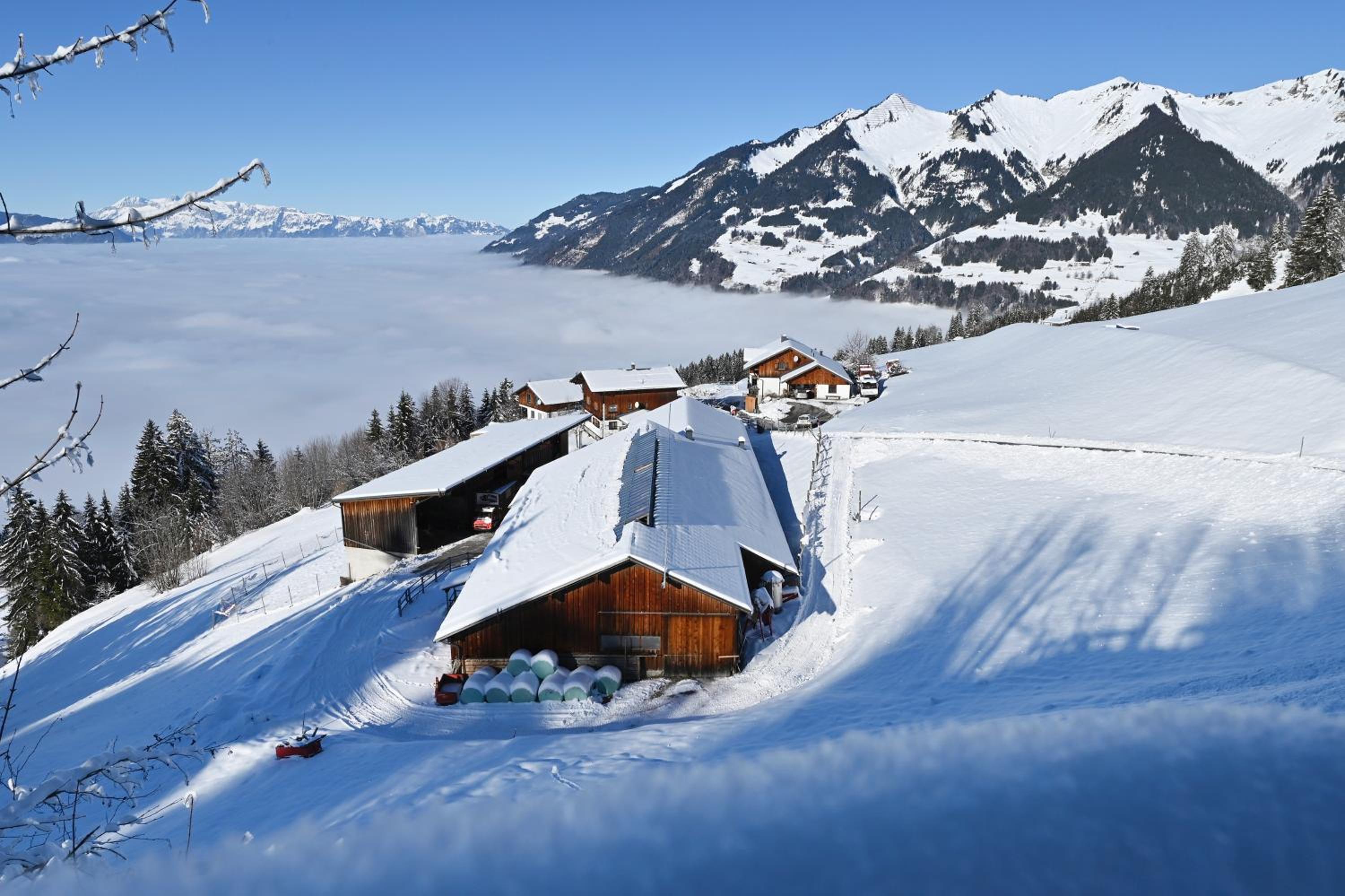 Berghof Burtscher view 5