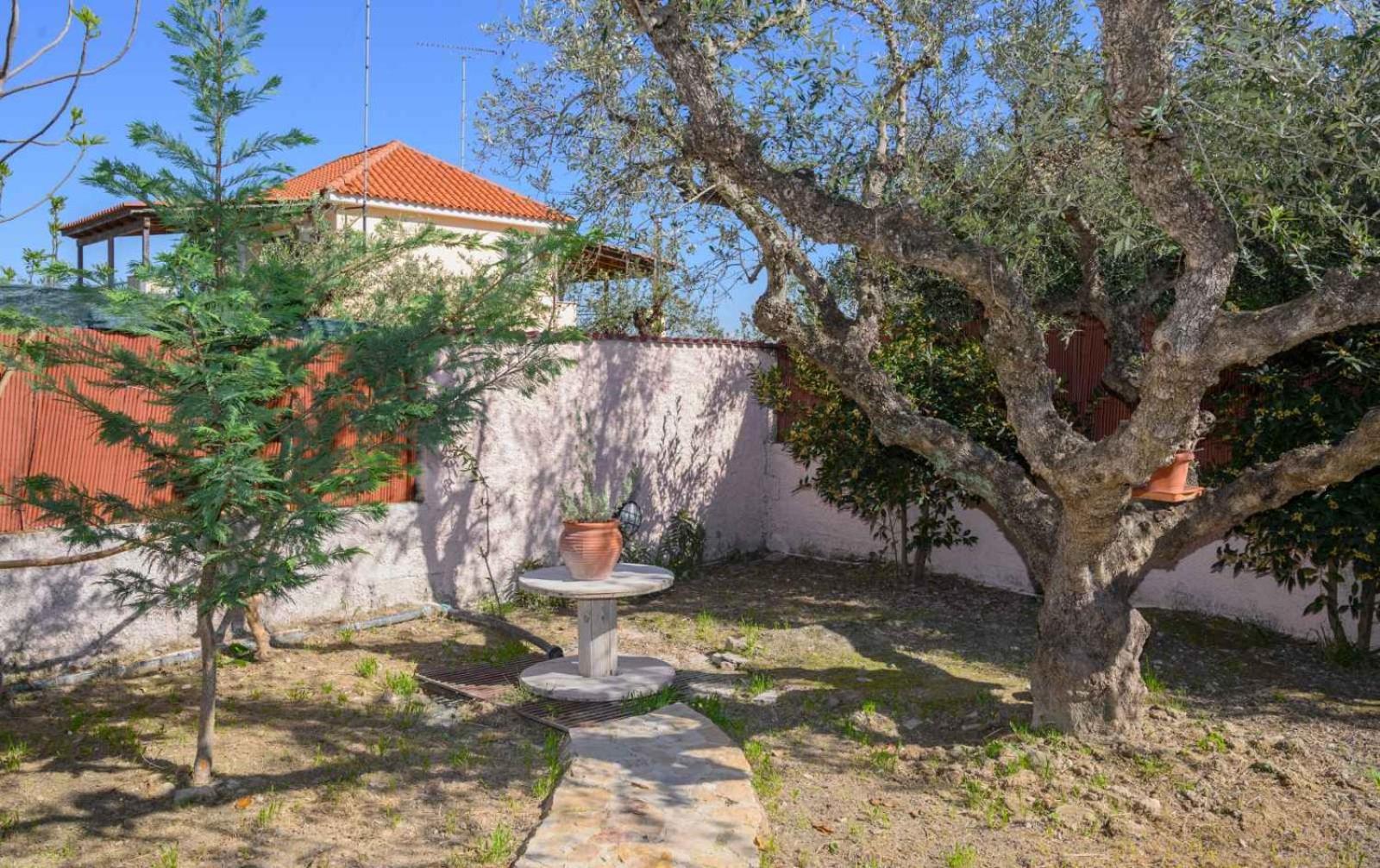 Ionnisos Traditional Home