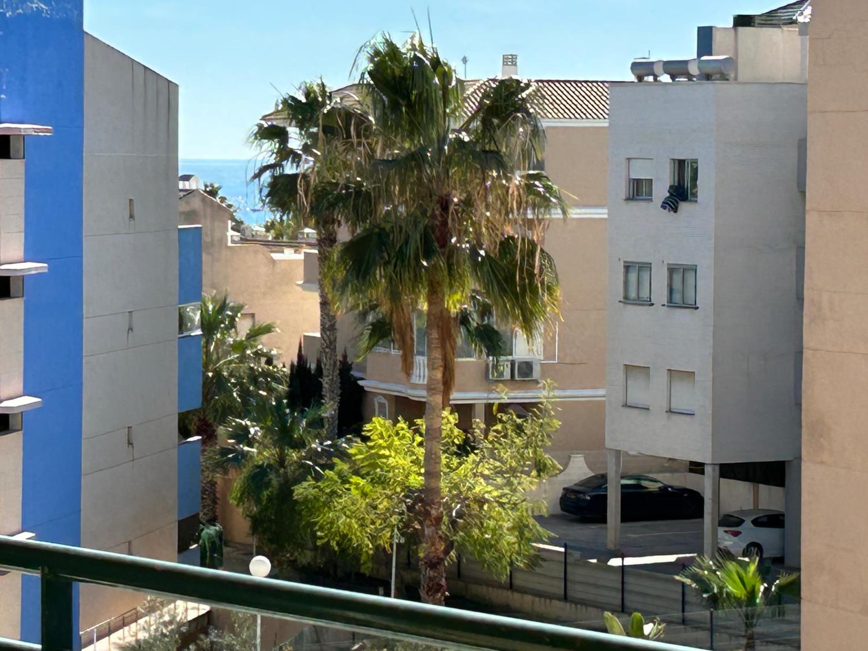 Sunny Paradise/El Paraiso Soleado
