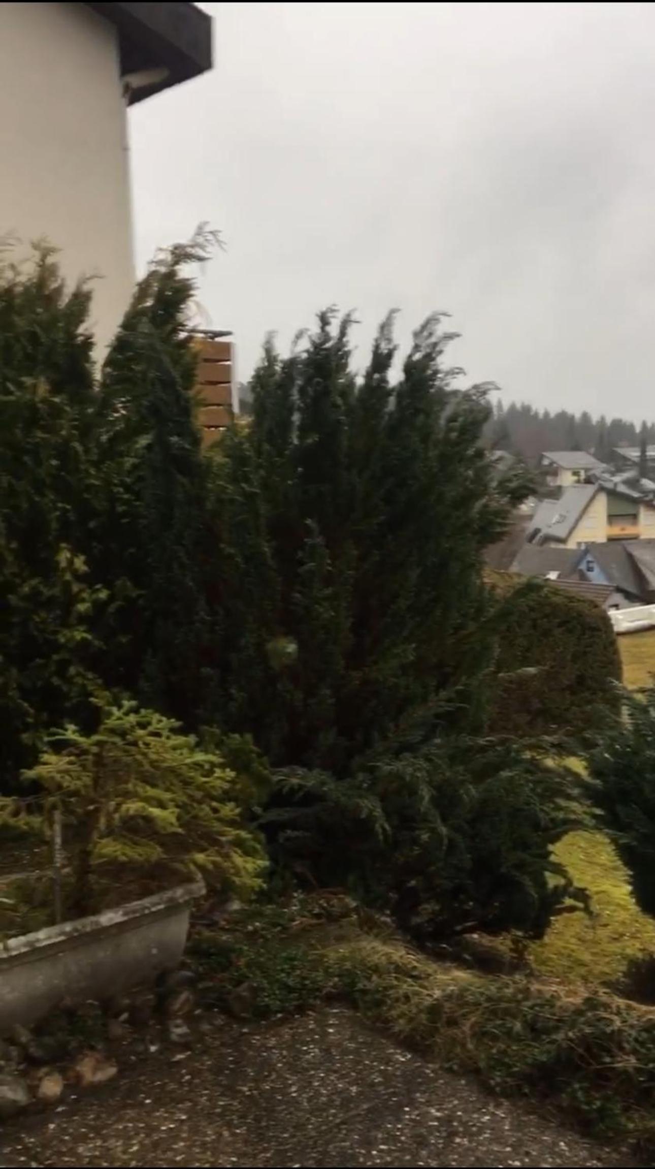 Schönwaldsrotkäppchen mit Pool, Sauna, Elektrokamin