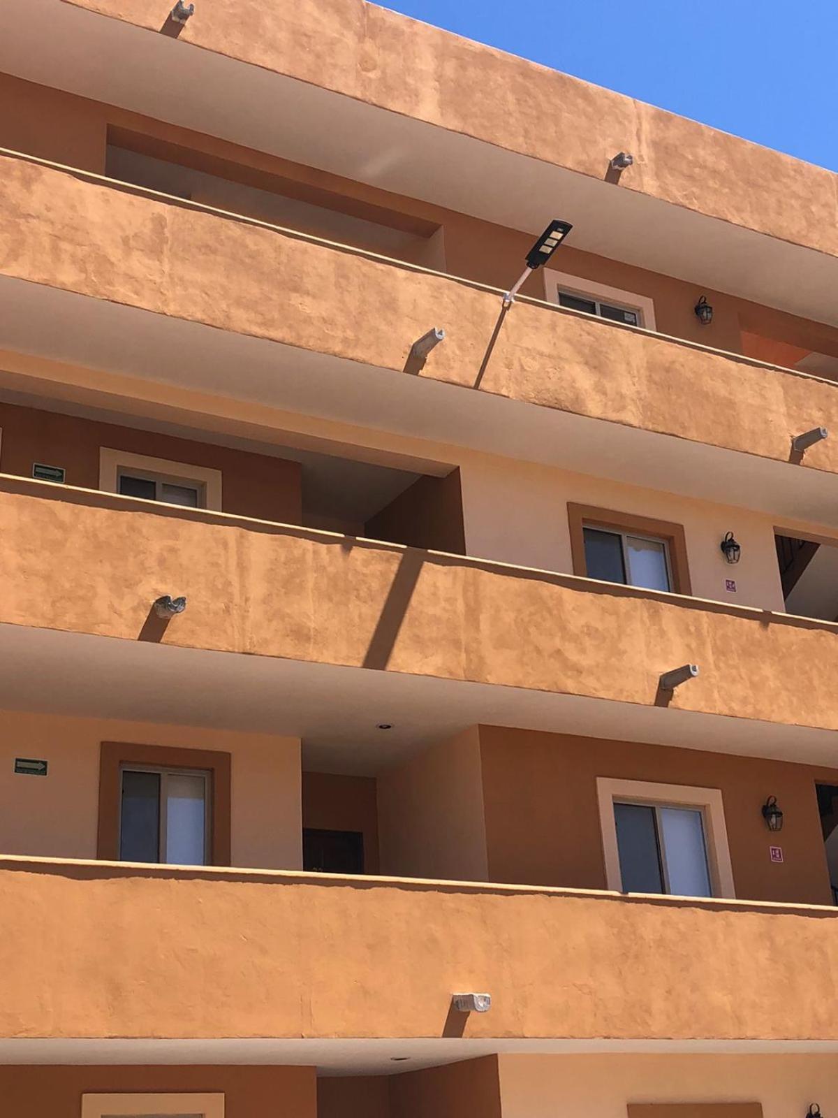 Loreto Palms Suites