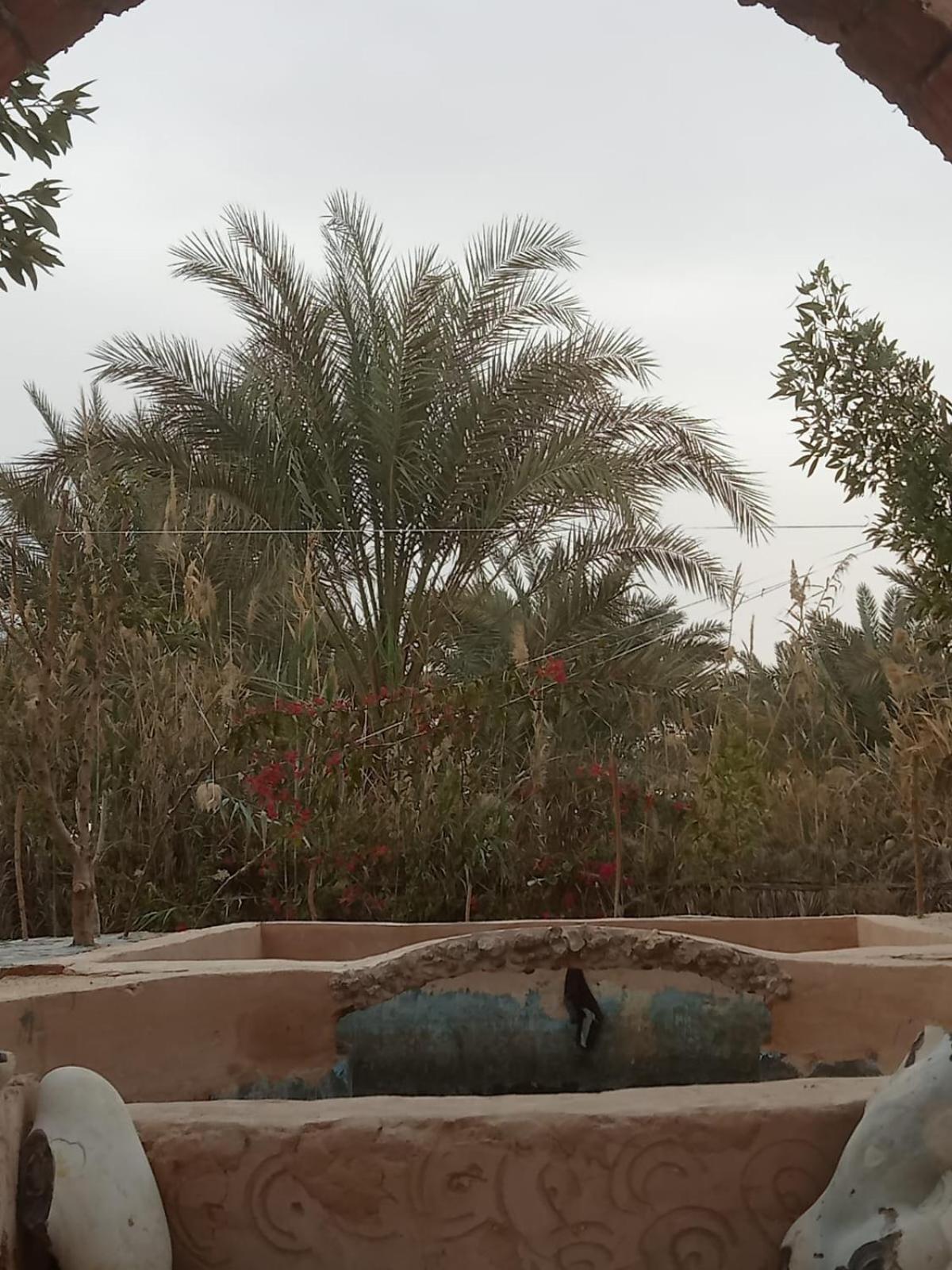 siwa gardenia cottage