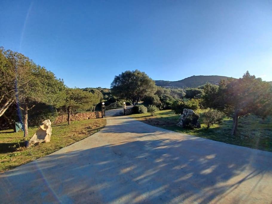 La Casa del Mirto view 5