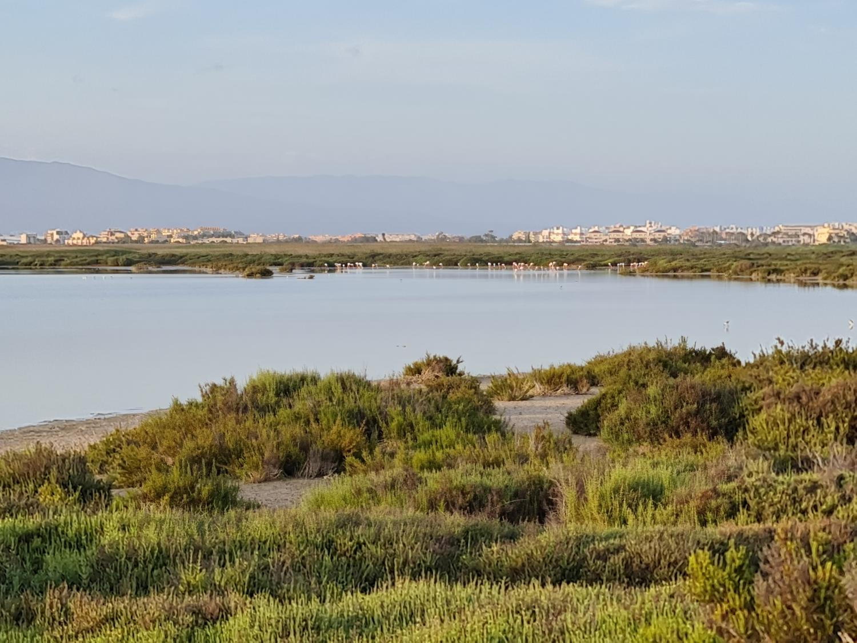 Villa Romana con piscina privada y vistas al jardín