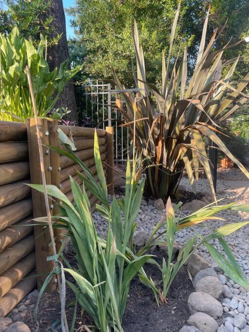 Garden Studio:Quiet, 3 min from I-5 view 3