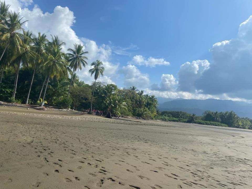 Al's Beach Casa