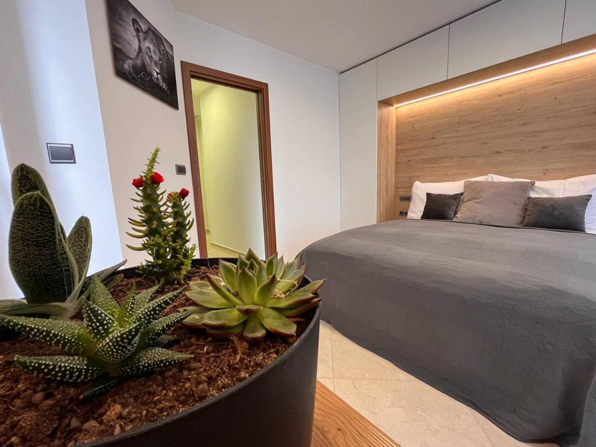 LEO Apartment FREE PARKING - President Palace