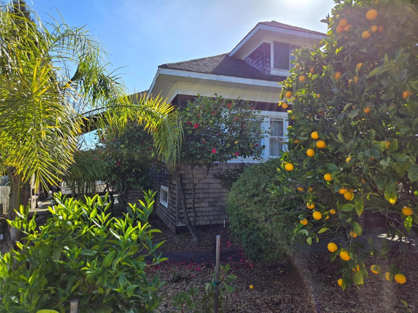 Beautiful Spacious Victorian Garden Oasis Central, Gated, Deck, BBQ view 3
