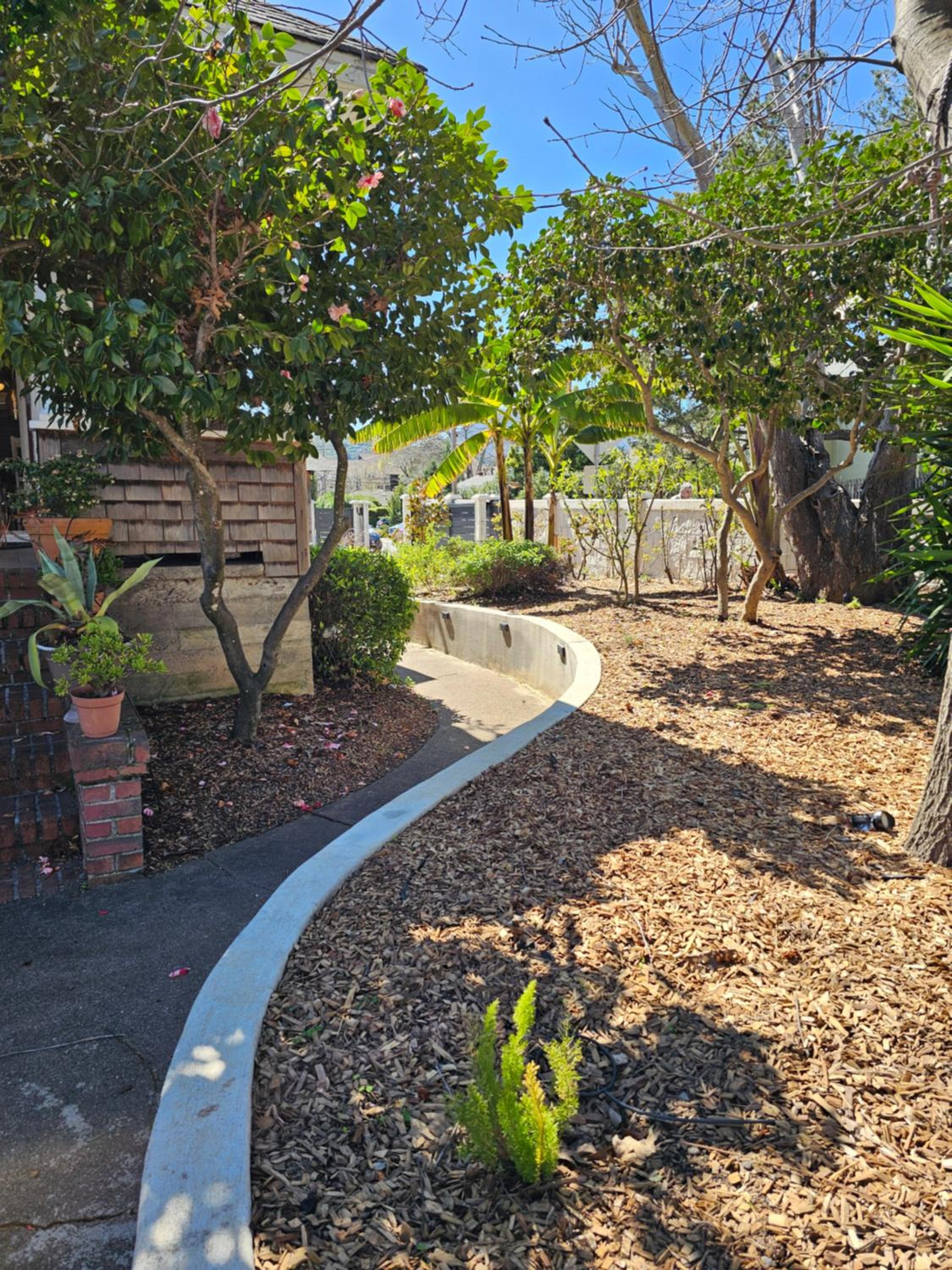 Beautiful Spacious Victorian Garden Oasis Central, Gated, Deck, BBQ view 5