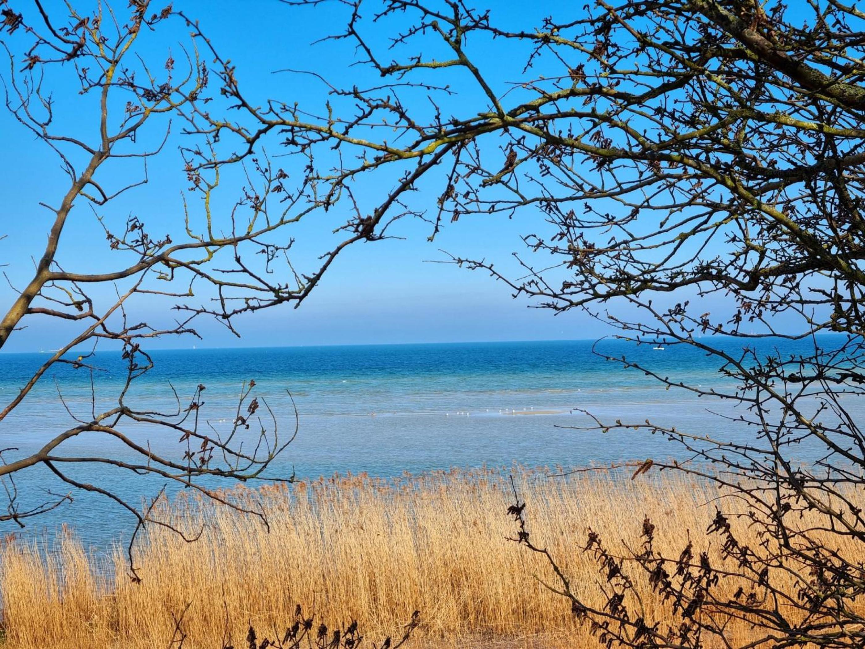 Ferienwohnung Deich und Meer in Stein