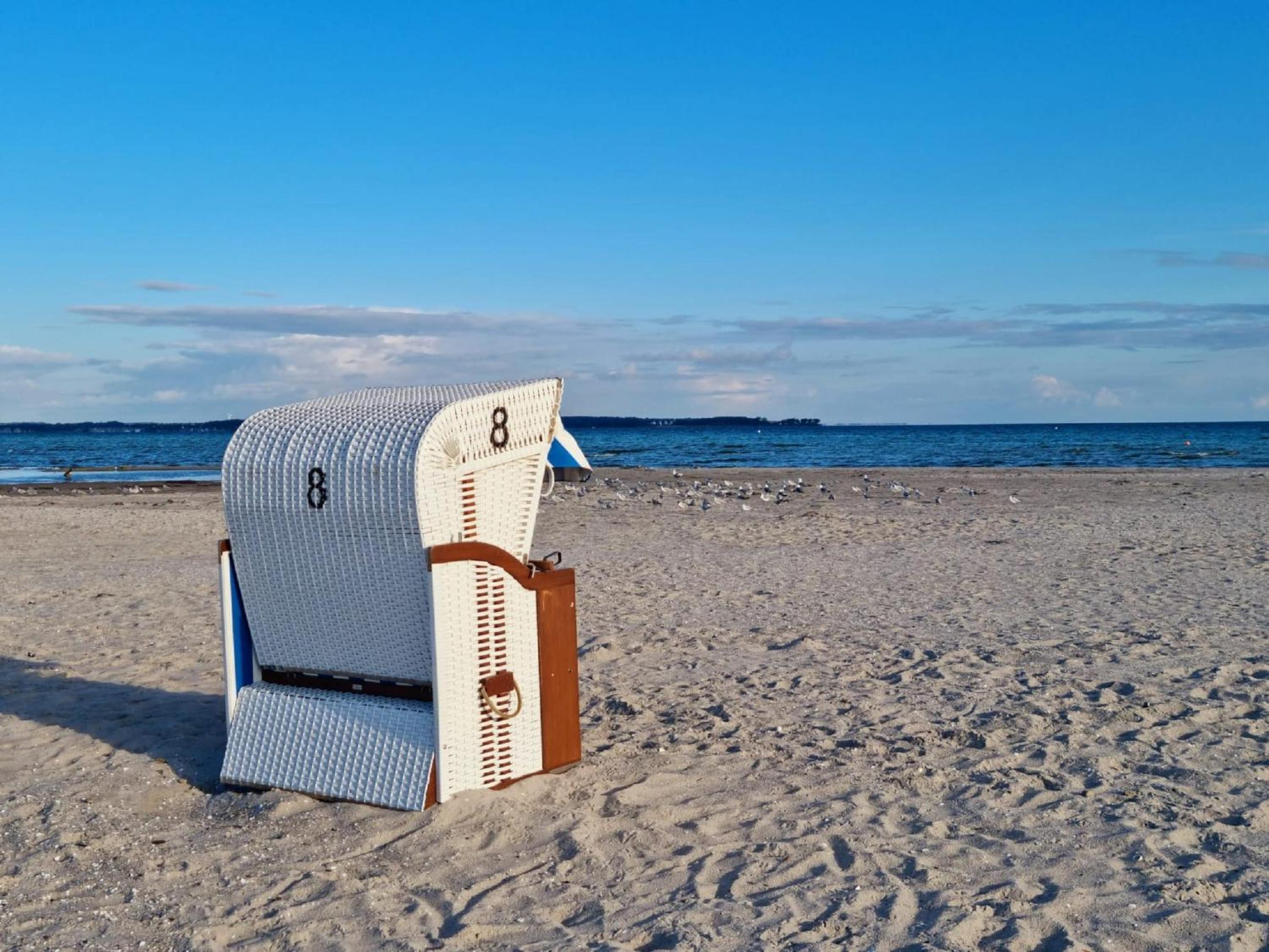 Ferienwohnung Deich und Meer in Stein