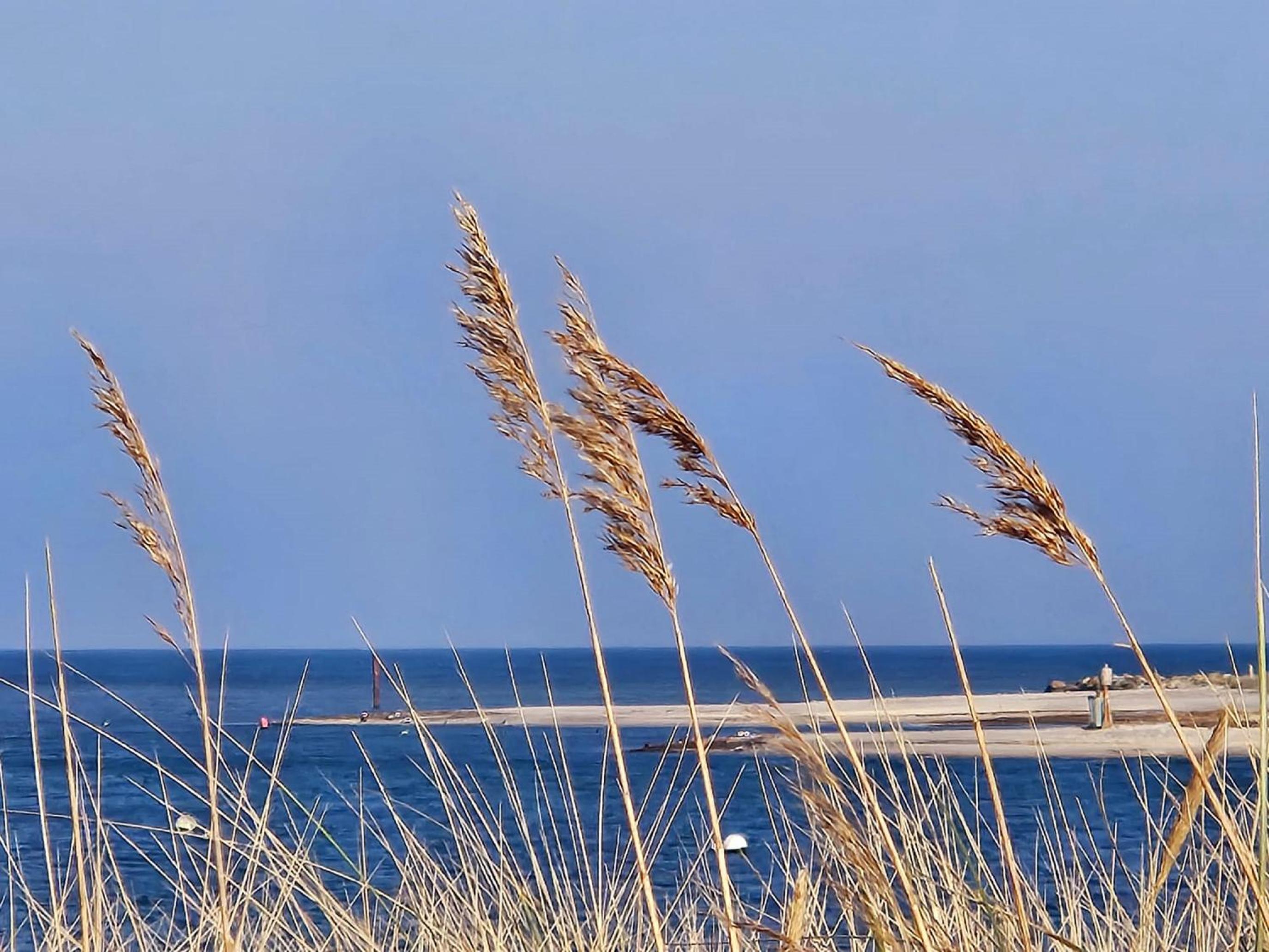 Ferienwohnung Deich und Meer in Stein