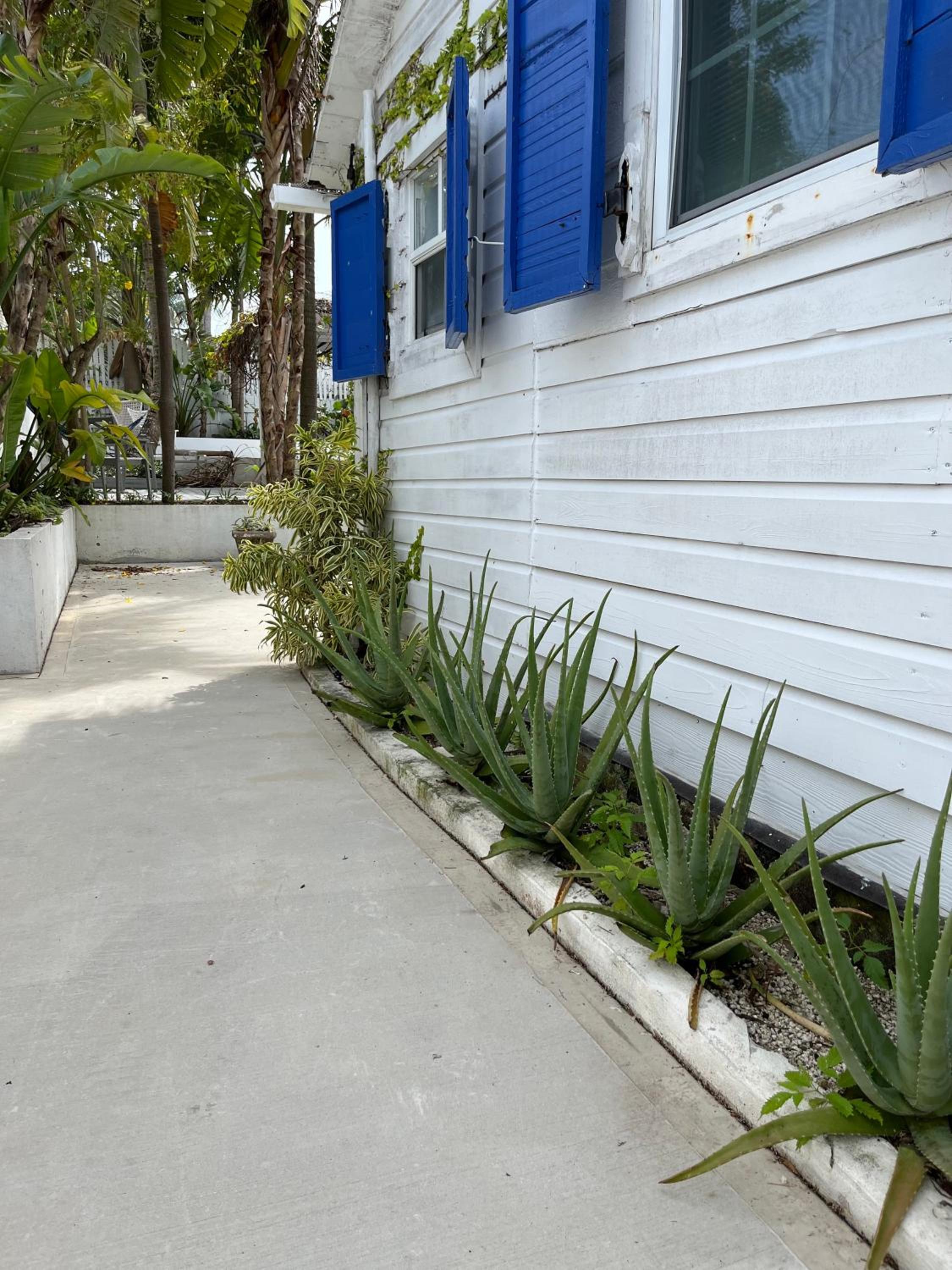 Downtown Nassau Oasis Unit 2