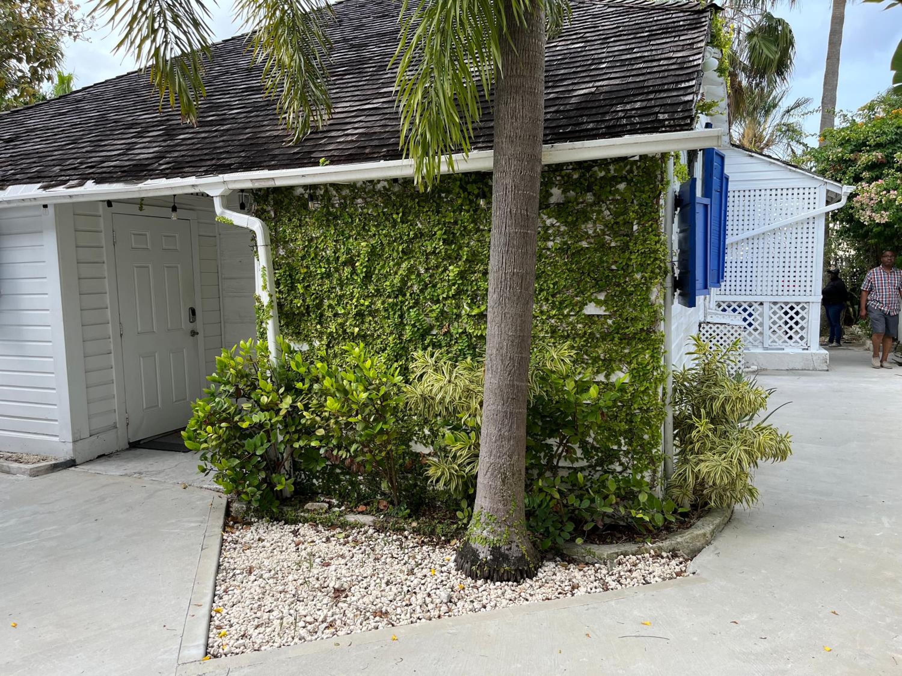 Downtown Nassau Oasis Unit 2