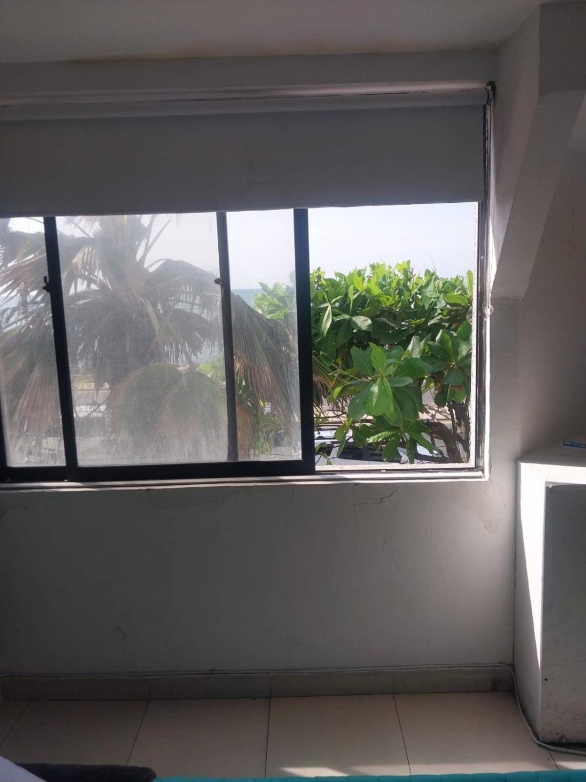 Apartament with ocean view and beachfront we speak English