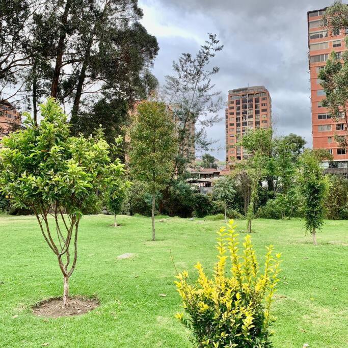 Urban Andes Retreat