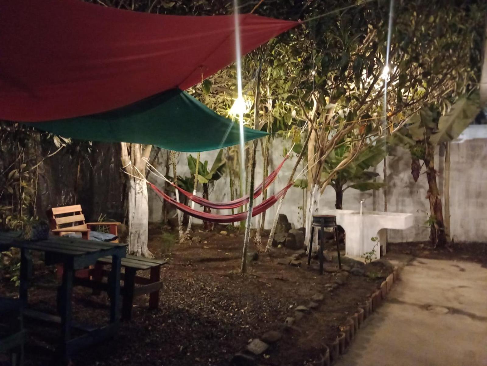 Photo 41