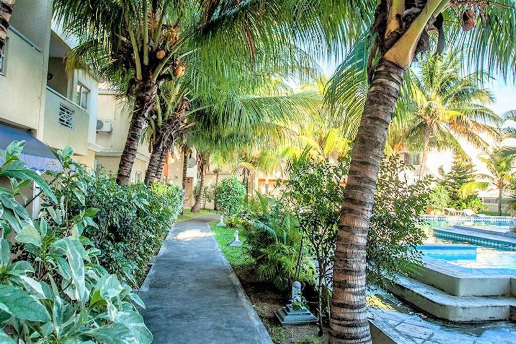 Charming residence near the beach-Orchidees view 3