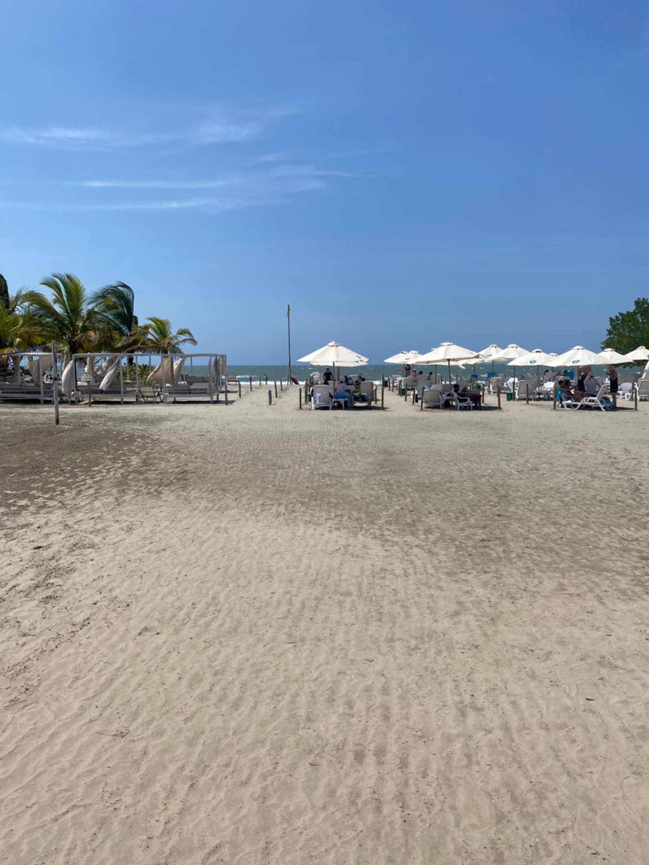 Apartament with ocean view and beachfront we speak English
