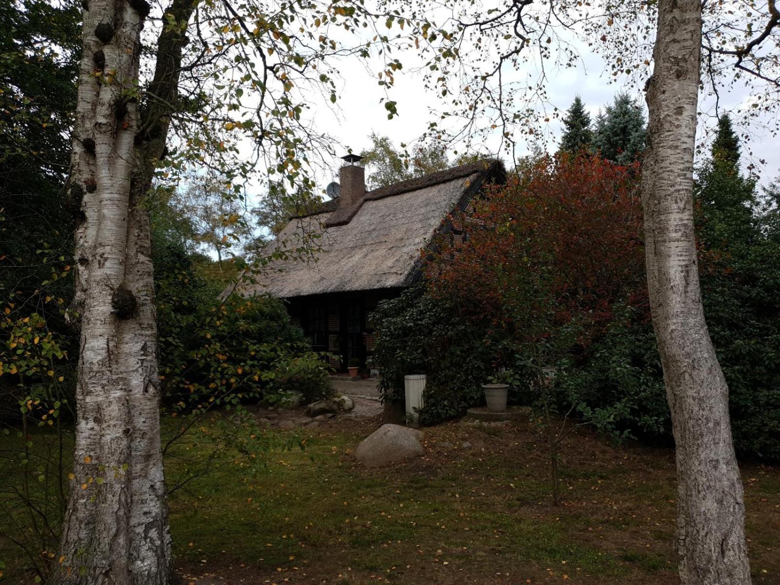 Ferienhaus Oak-Tree-Cottage
