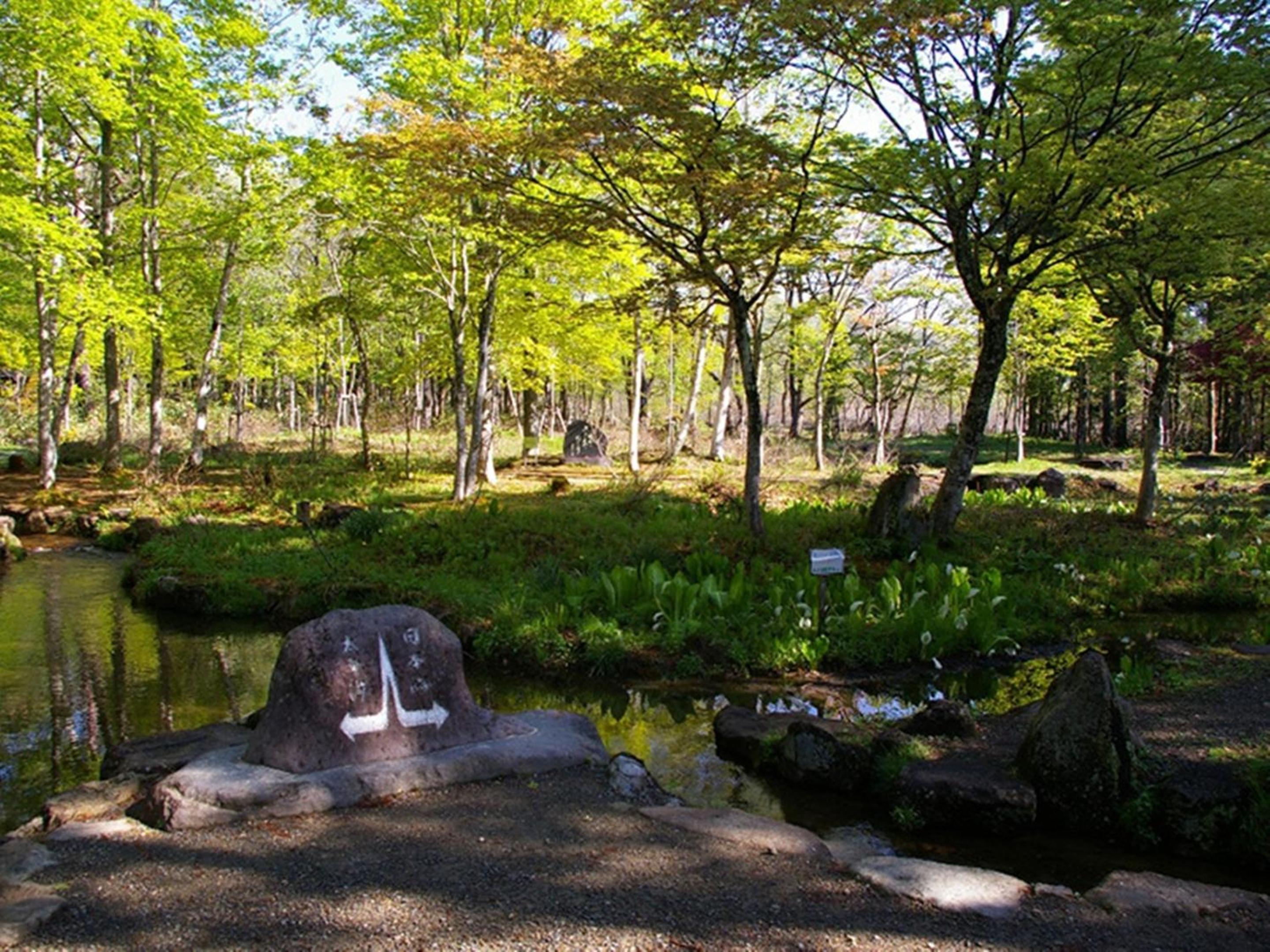 Nagomiya Hirugano