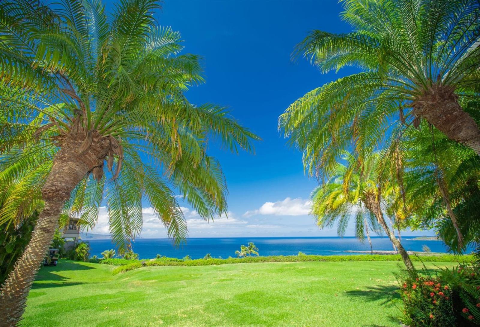 2412 Kapalua Ridge Villa view 5