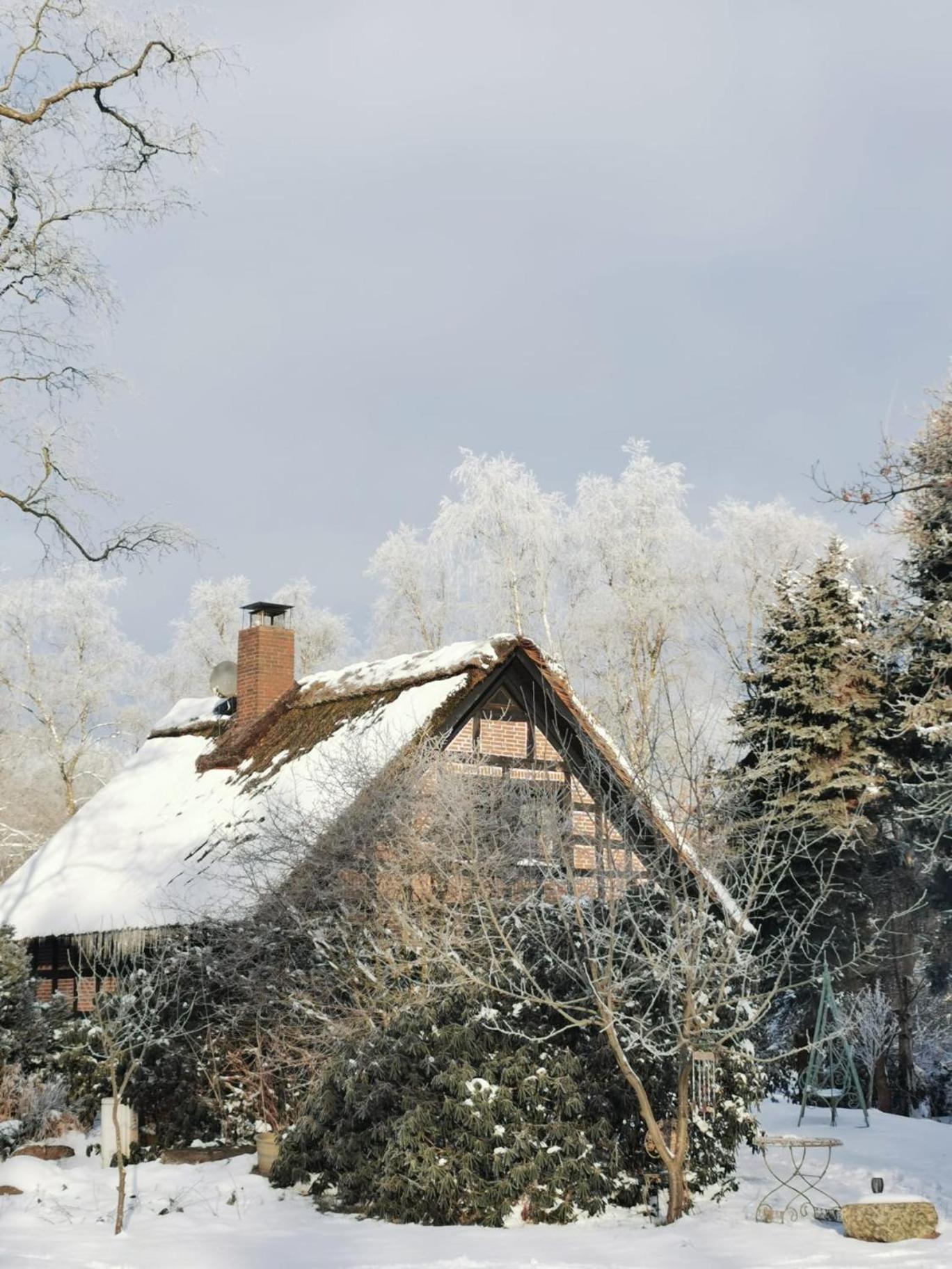 Ferienhaus Oak-Tree-Cottage