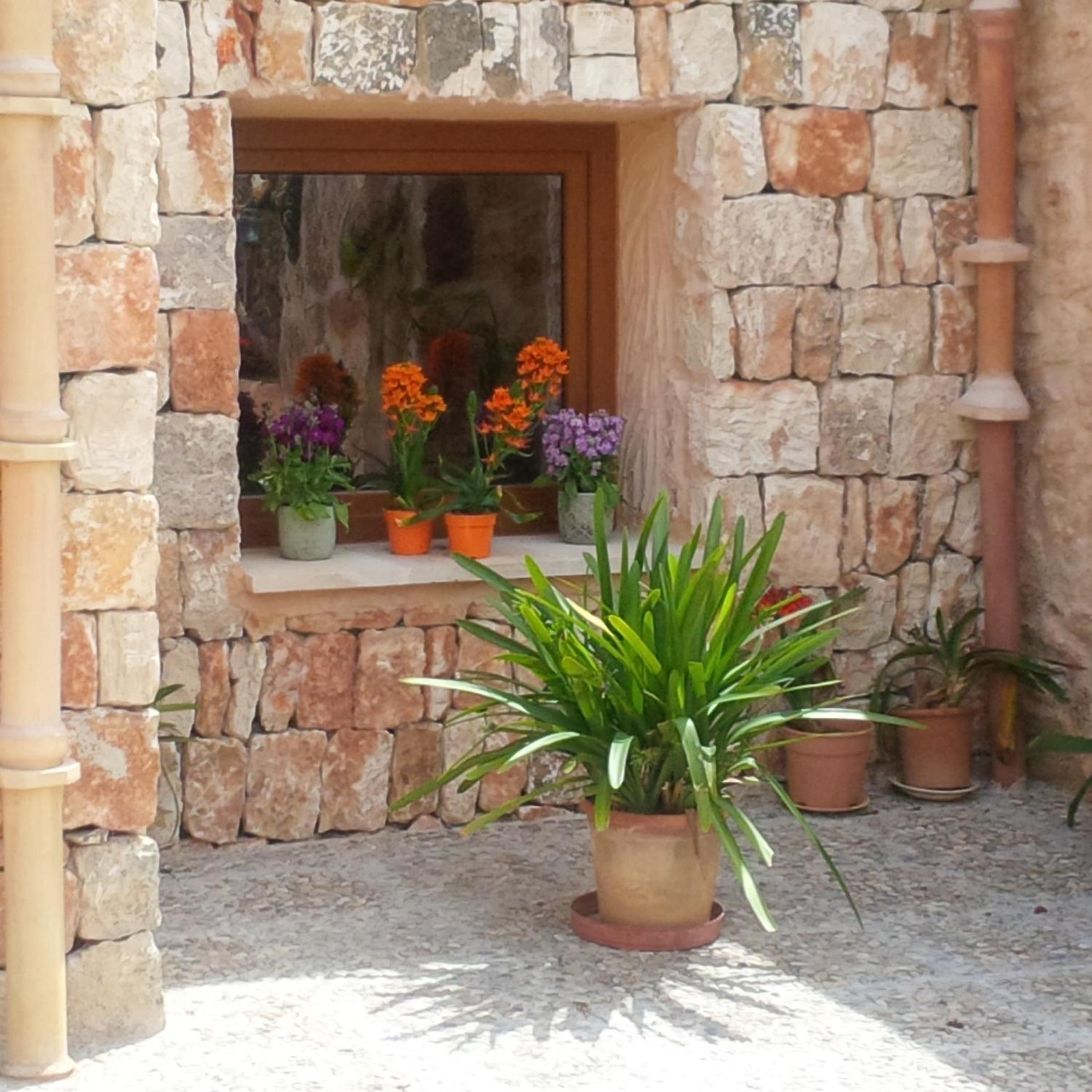Photo 20