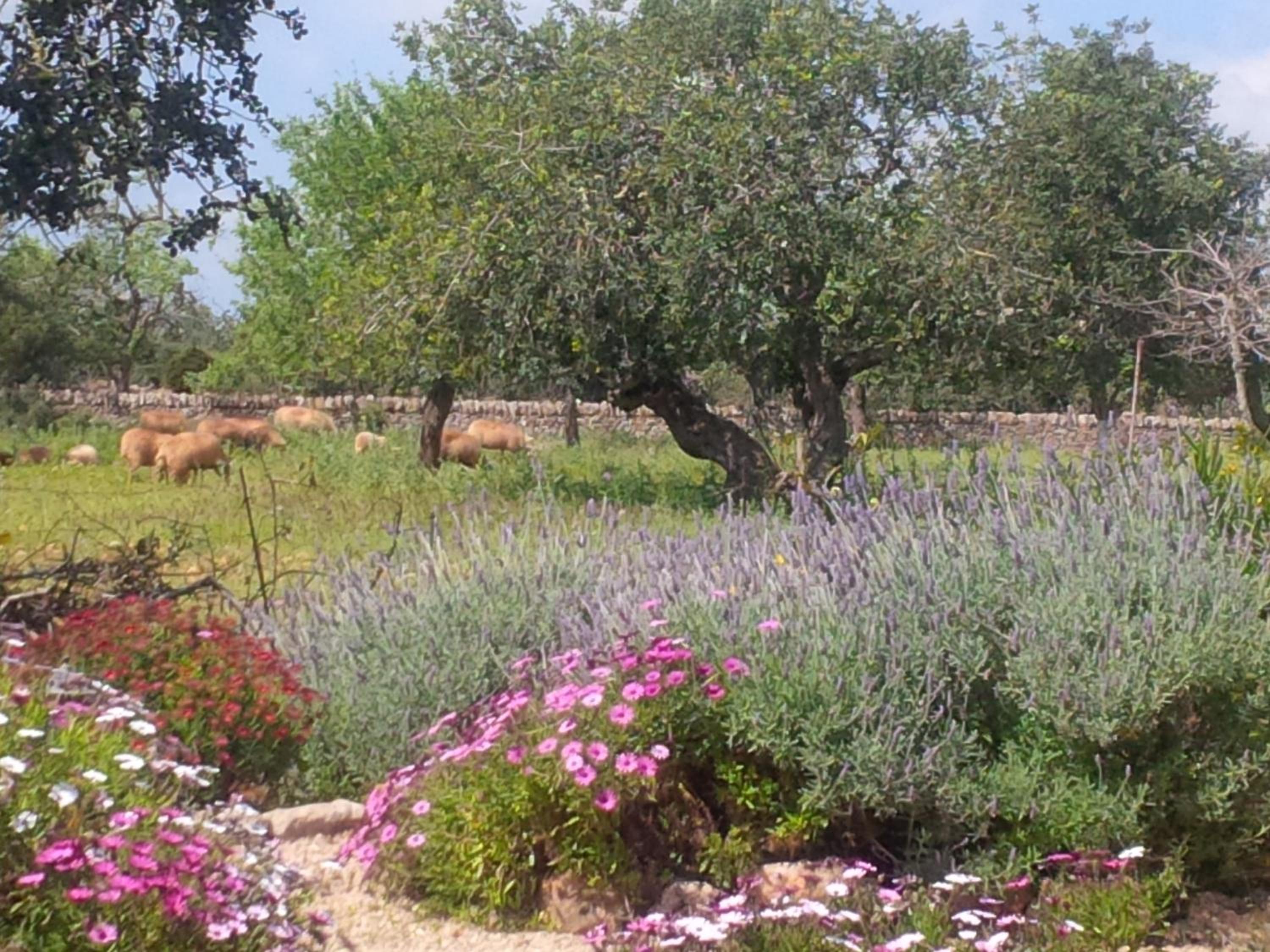 Photo 21