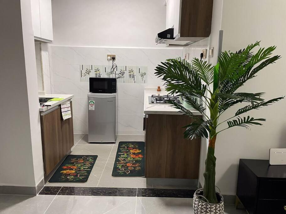 Homely 1bedroom Apartment view 2