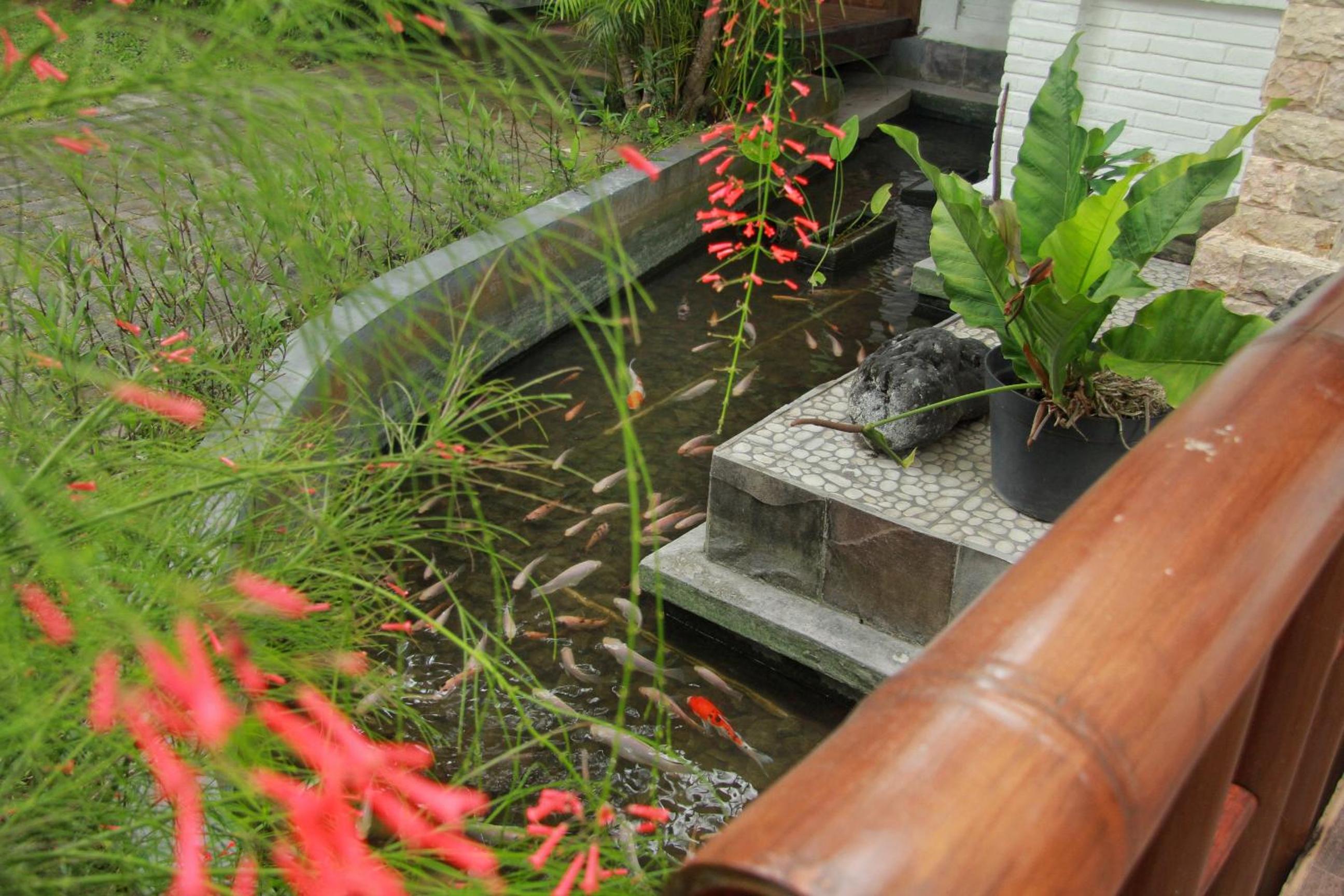 Villa Ndaru - 4 Bedroom Villa in Batu Bolong, Canggu view 5