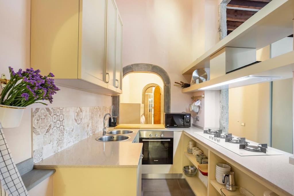 Piazza Pitti - Luxury Apartment -Town Center