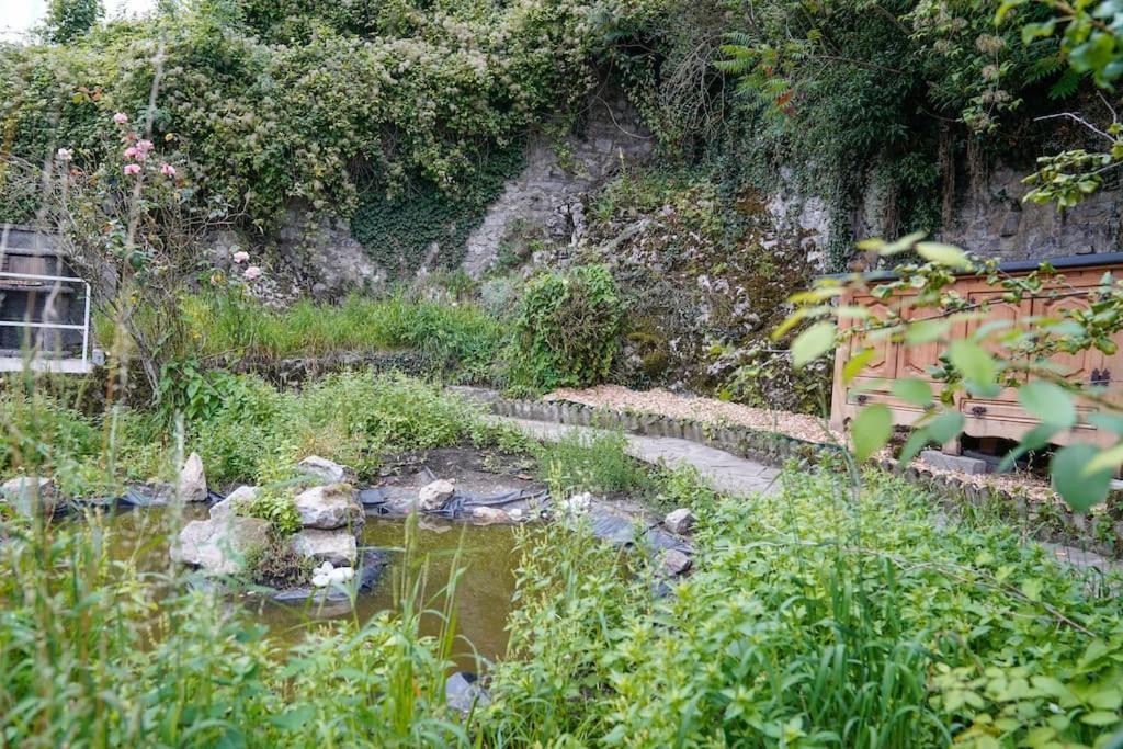 Maison 12 voyageurs tout confort avec jardin au centre de Dinant