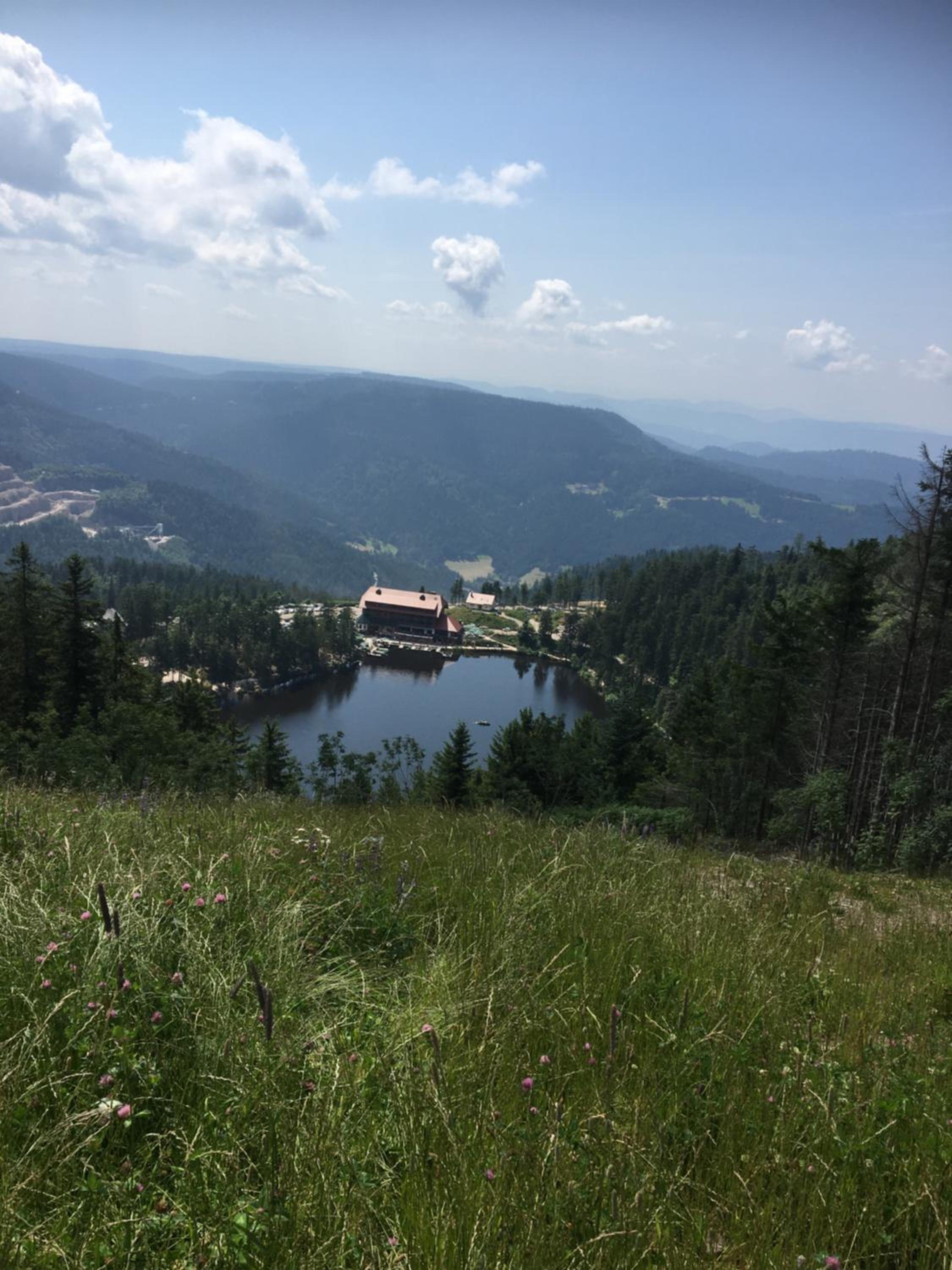 Klimatisierte Wohnung Schwarzwald Europapark Rust barrierefrei 110 qm